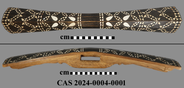 CAS 2024-0004-0001; Shield