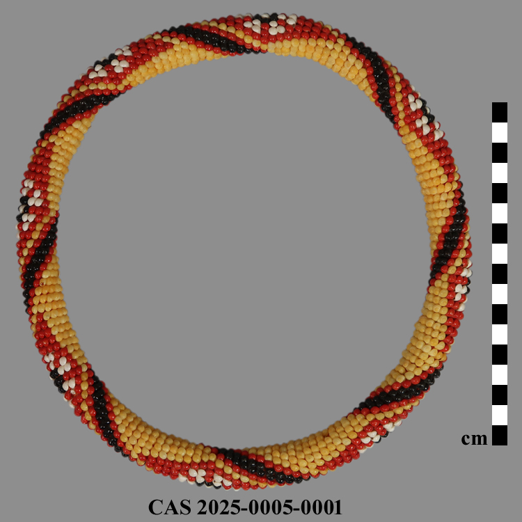 CAS 2025-0005-0001; Headband / shell lei