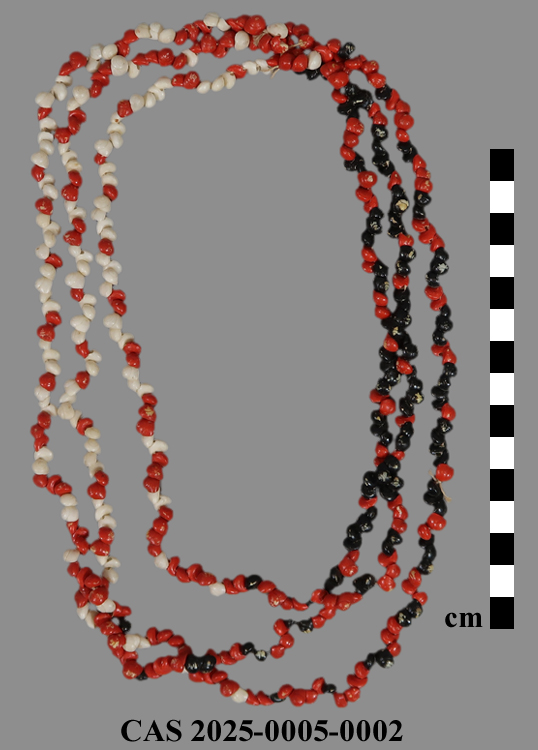 CAS 2025-0005-0002; Necklace