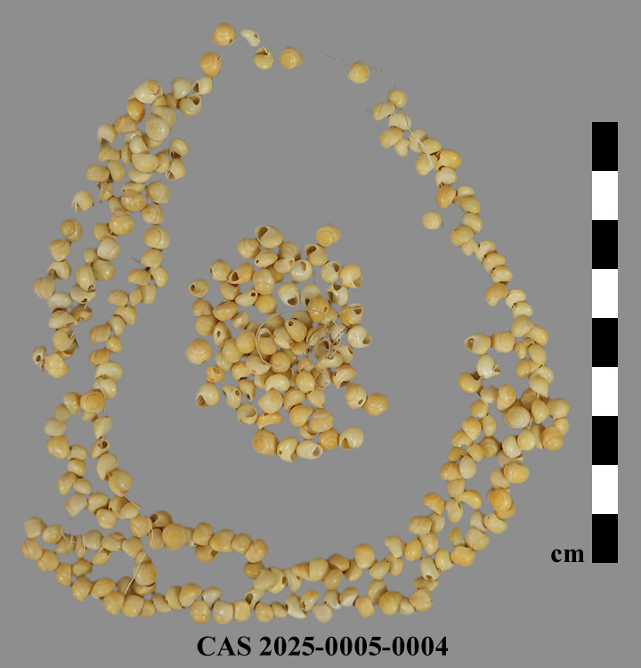 CAS 2025-0005-0004; Necklace