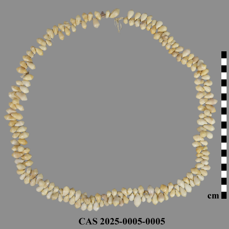 CAS 2025-0005-0005; Necklace