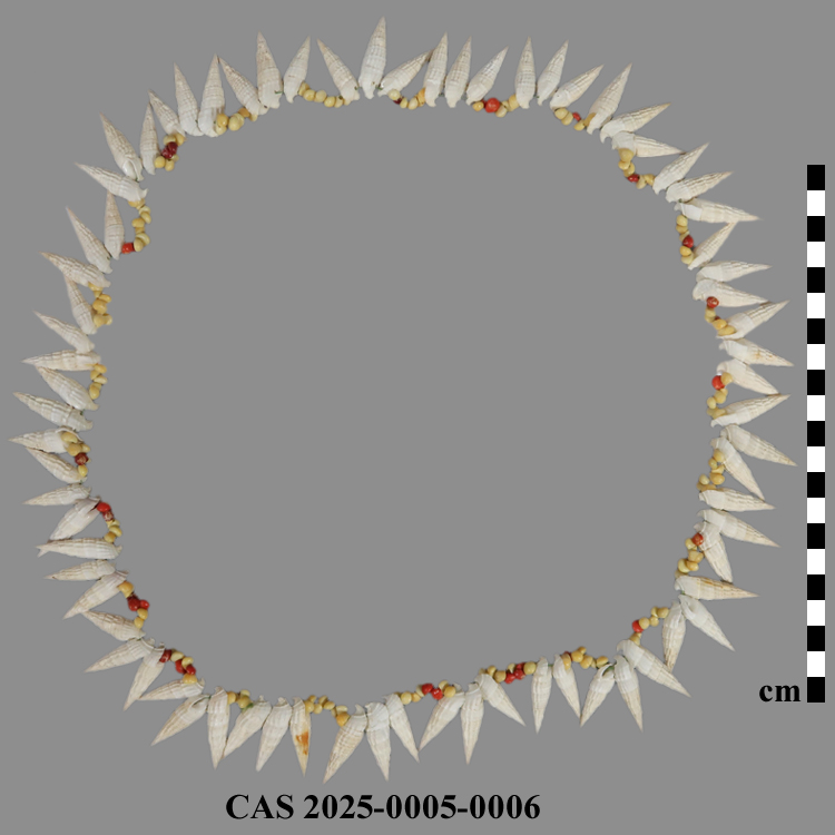 CAS 2025-0005-0006; Necklace