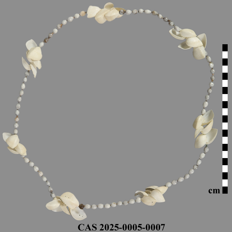 CAS 2025-0005-0007; Necklace