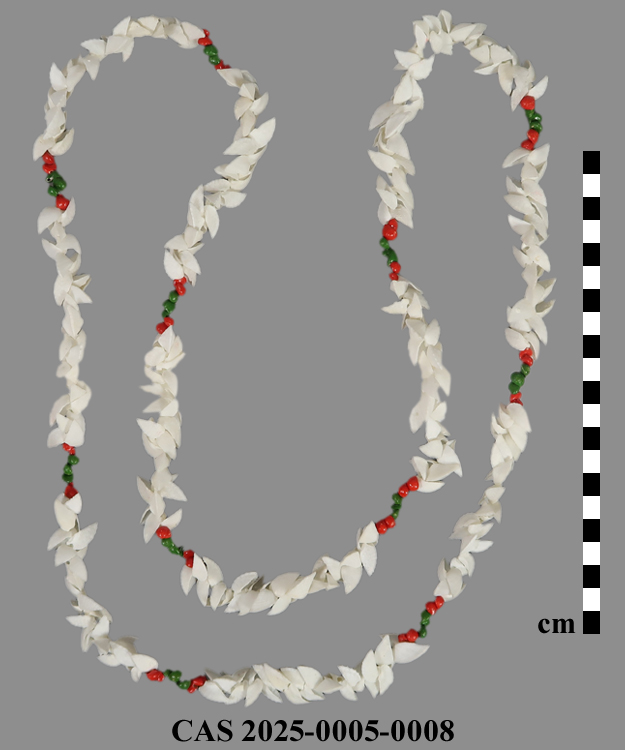 CAS 2025-0005-0008; Necklace