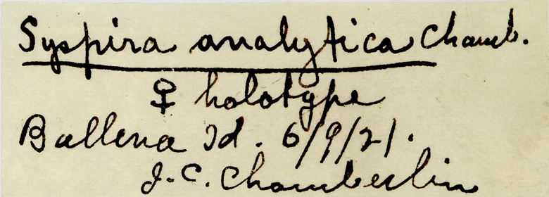 Syspira analytica image