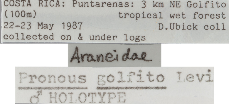 Pronous golfito image