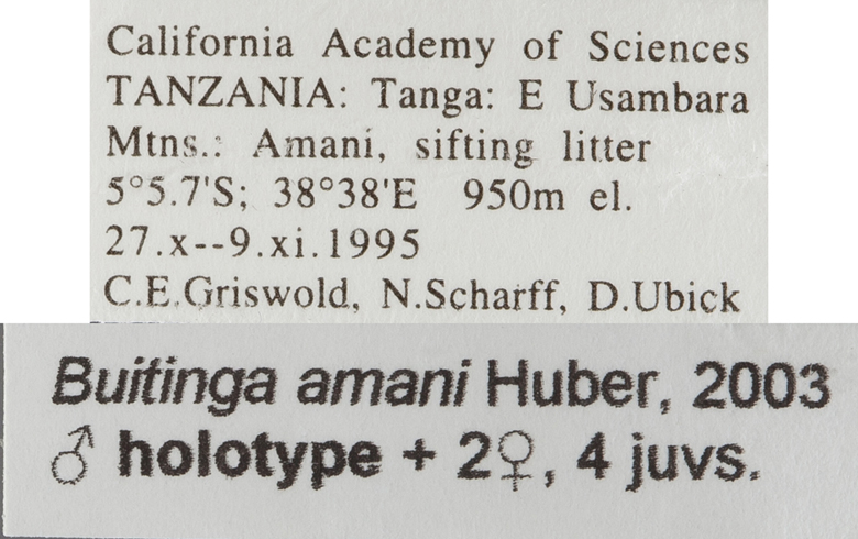 Buitinga amani image