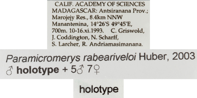 Paramicromerys nampoinai image