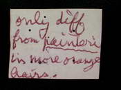 Pangonia pavida image