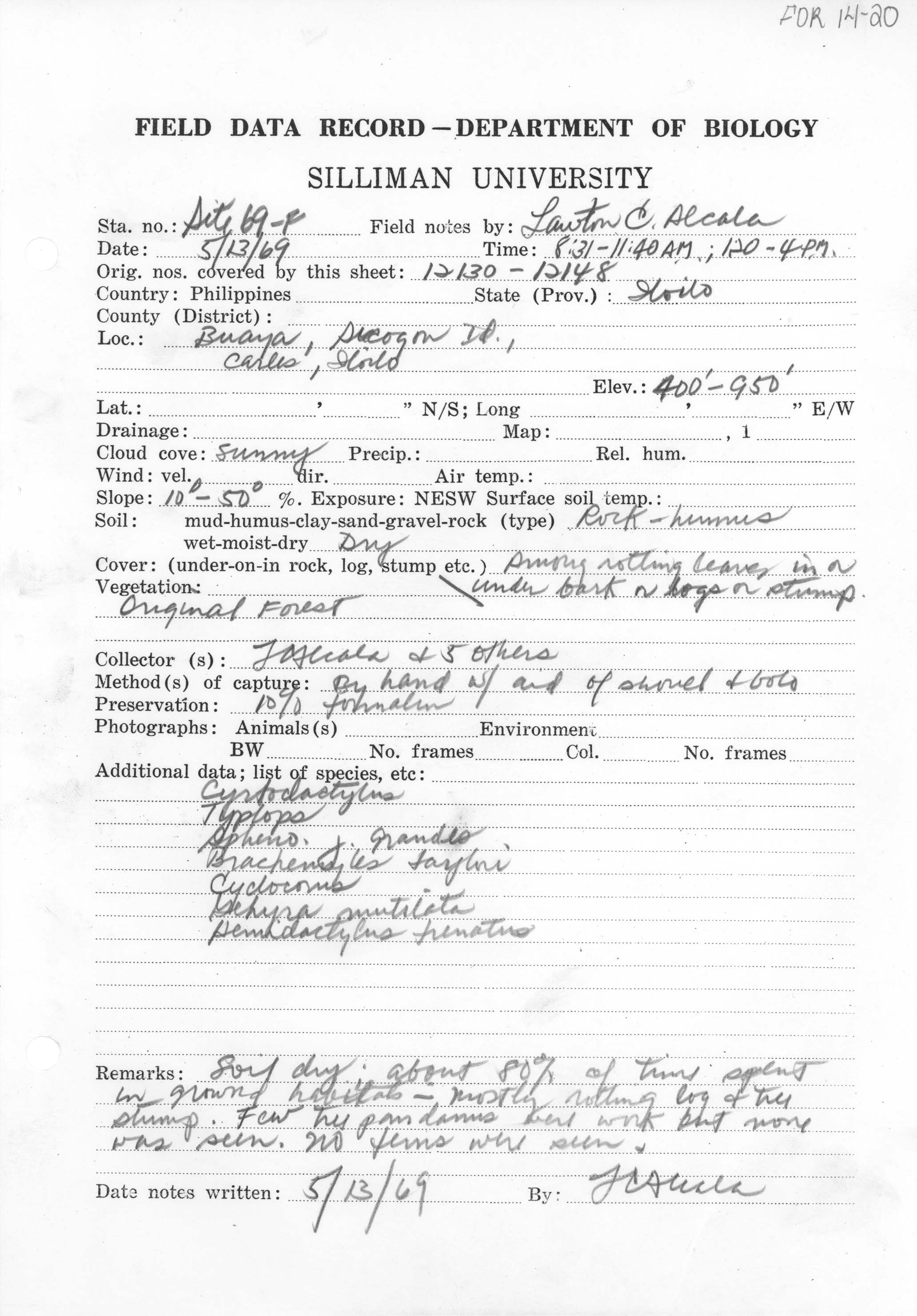 Cyrtodactylus annulatus image