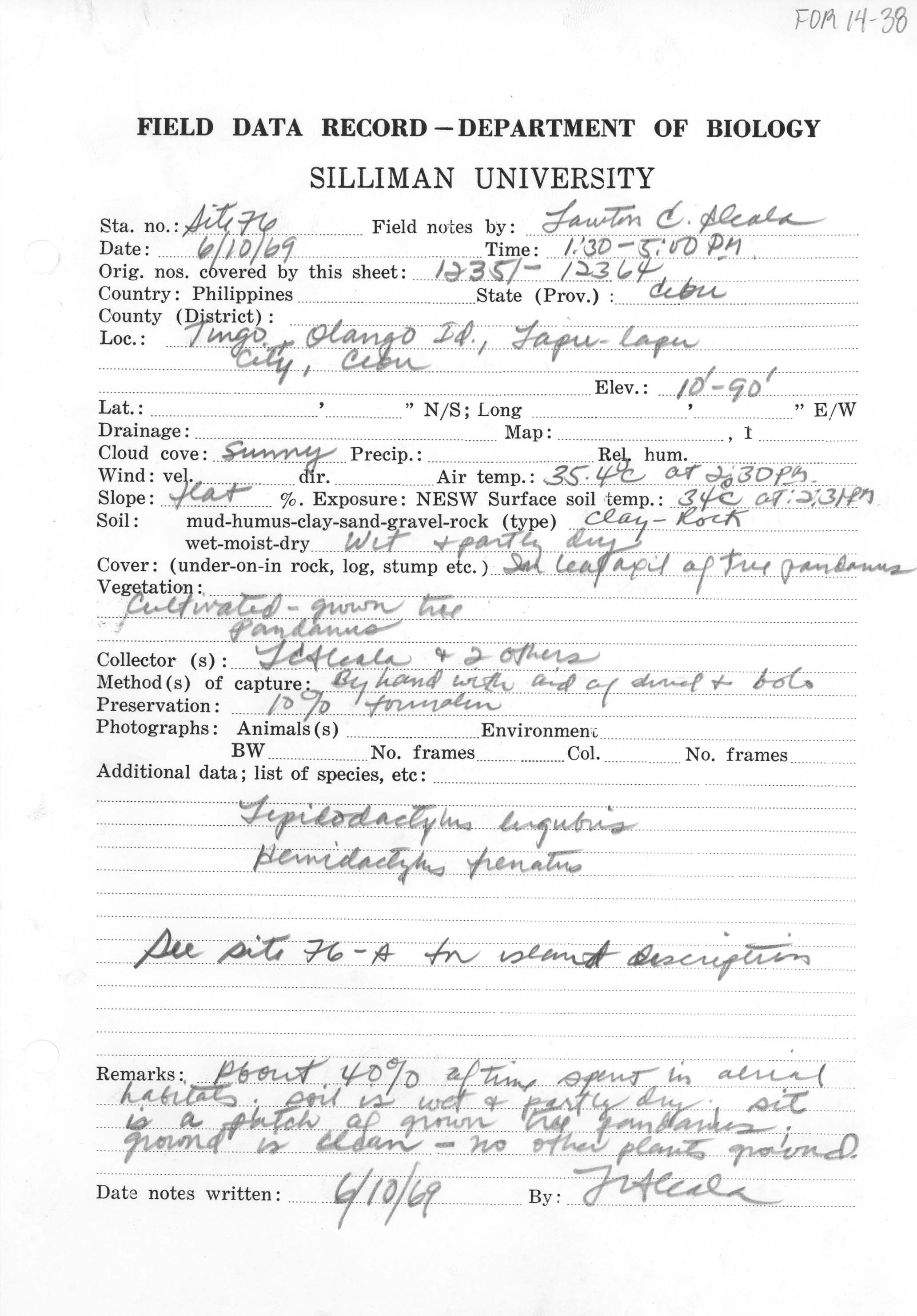 Lepidodactylus lugubris image