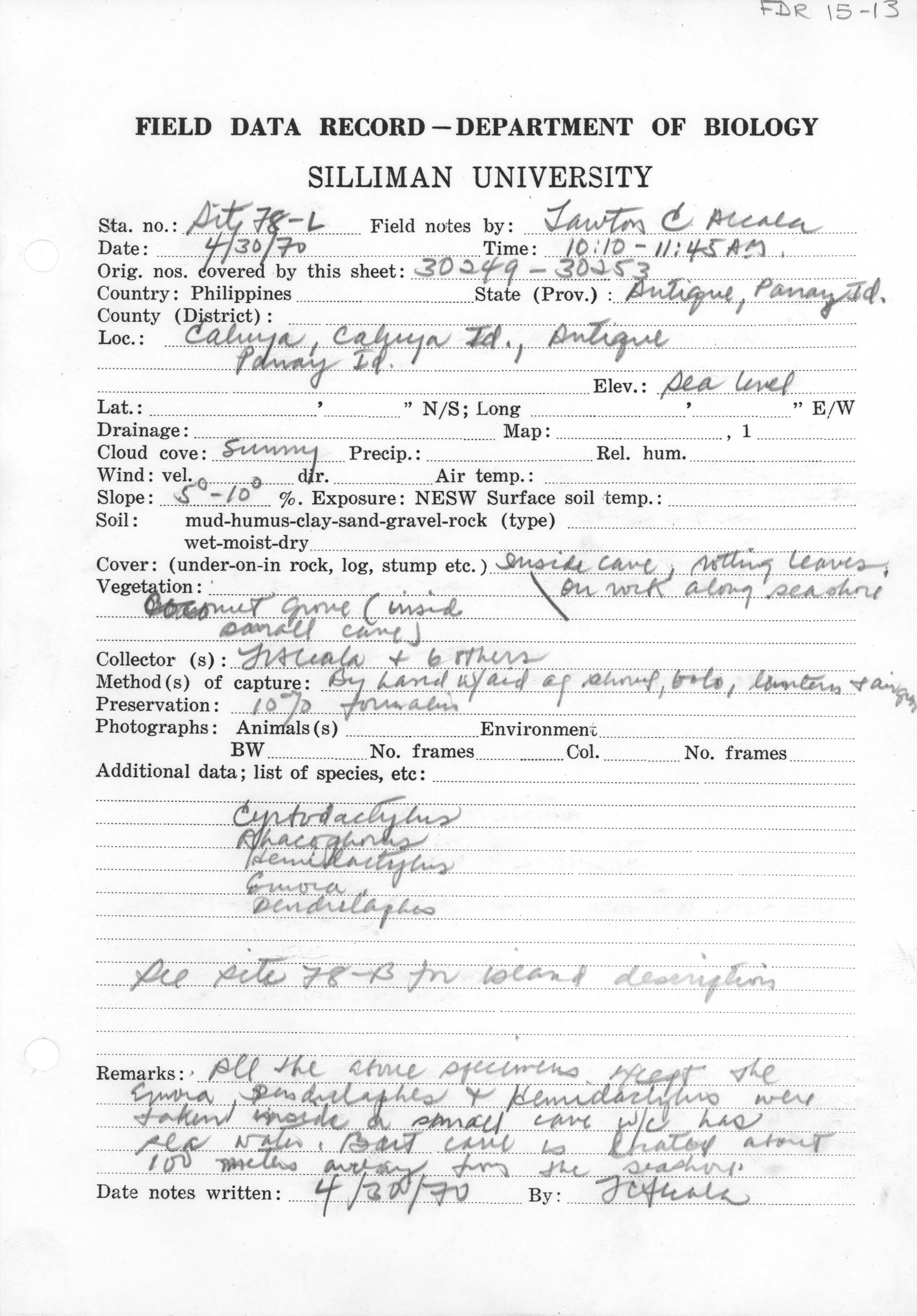 Gekko mindorensis image