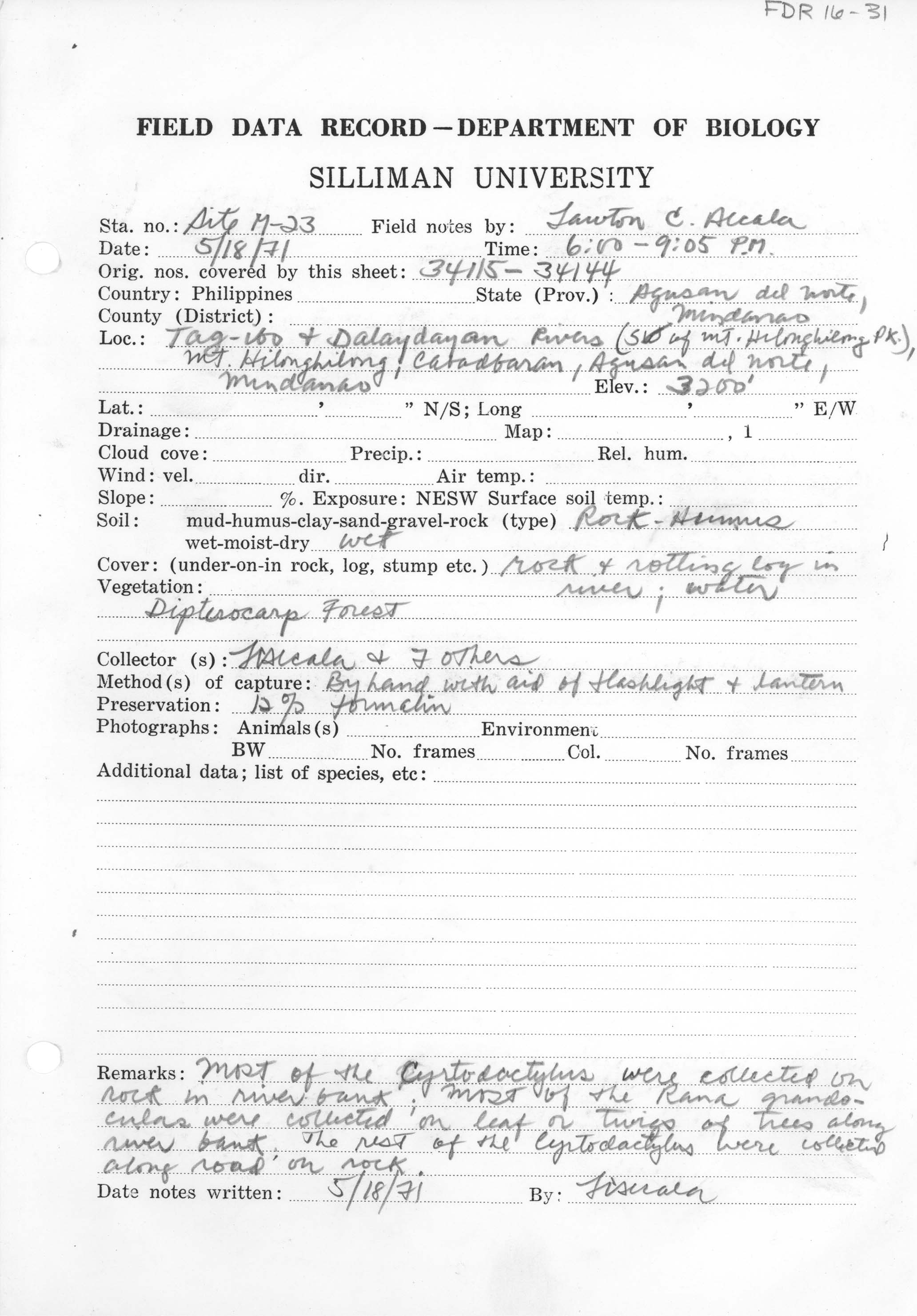 Cyrtodactylus agusanensis image