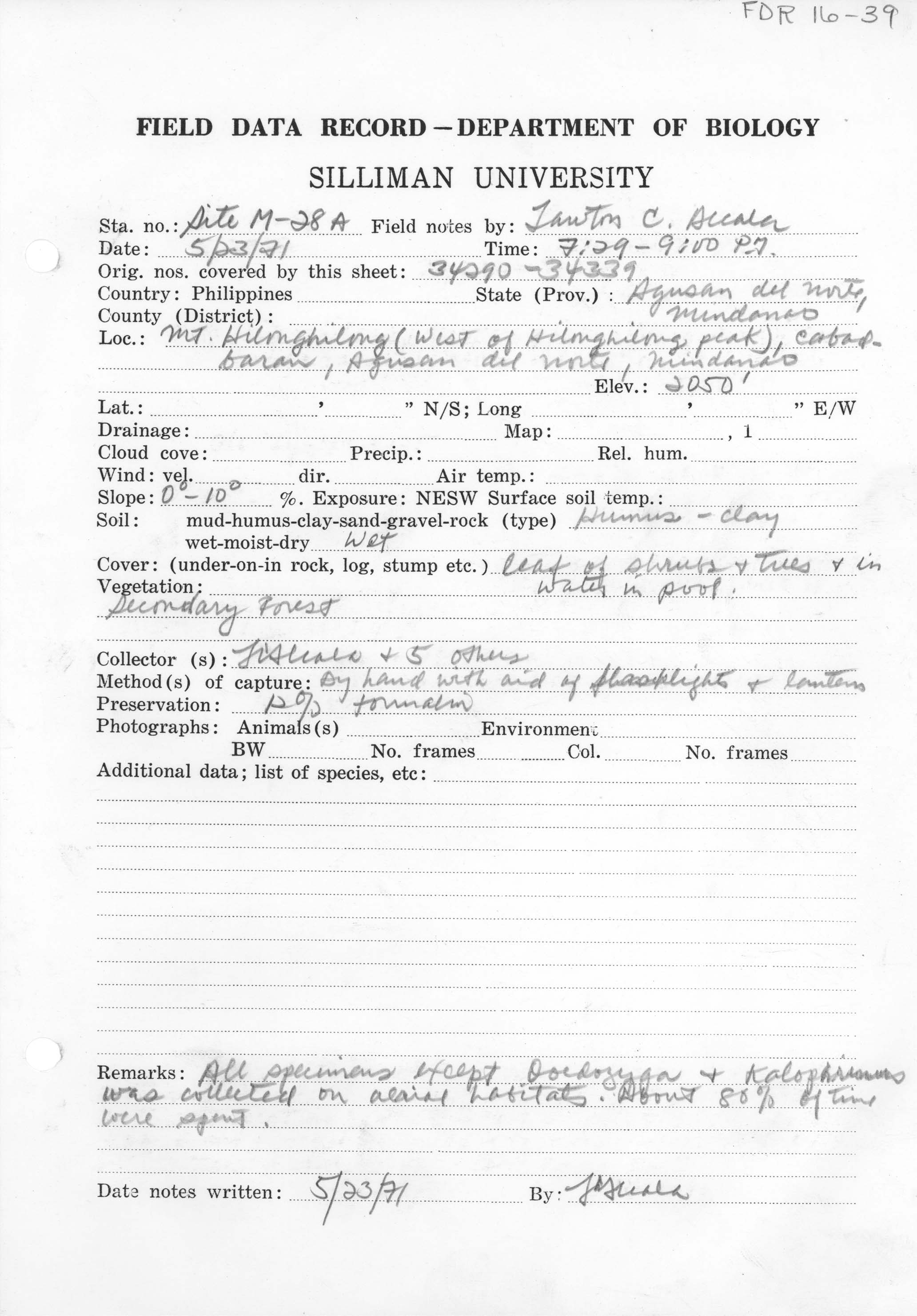 Cyrtodactylus agusanensis image