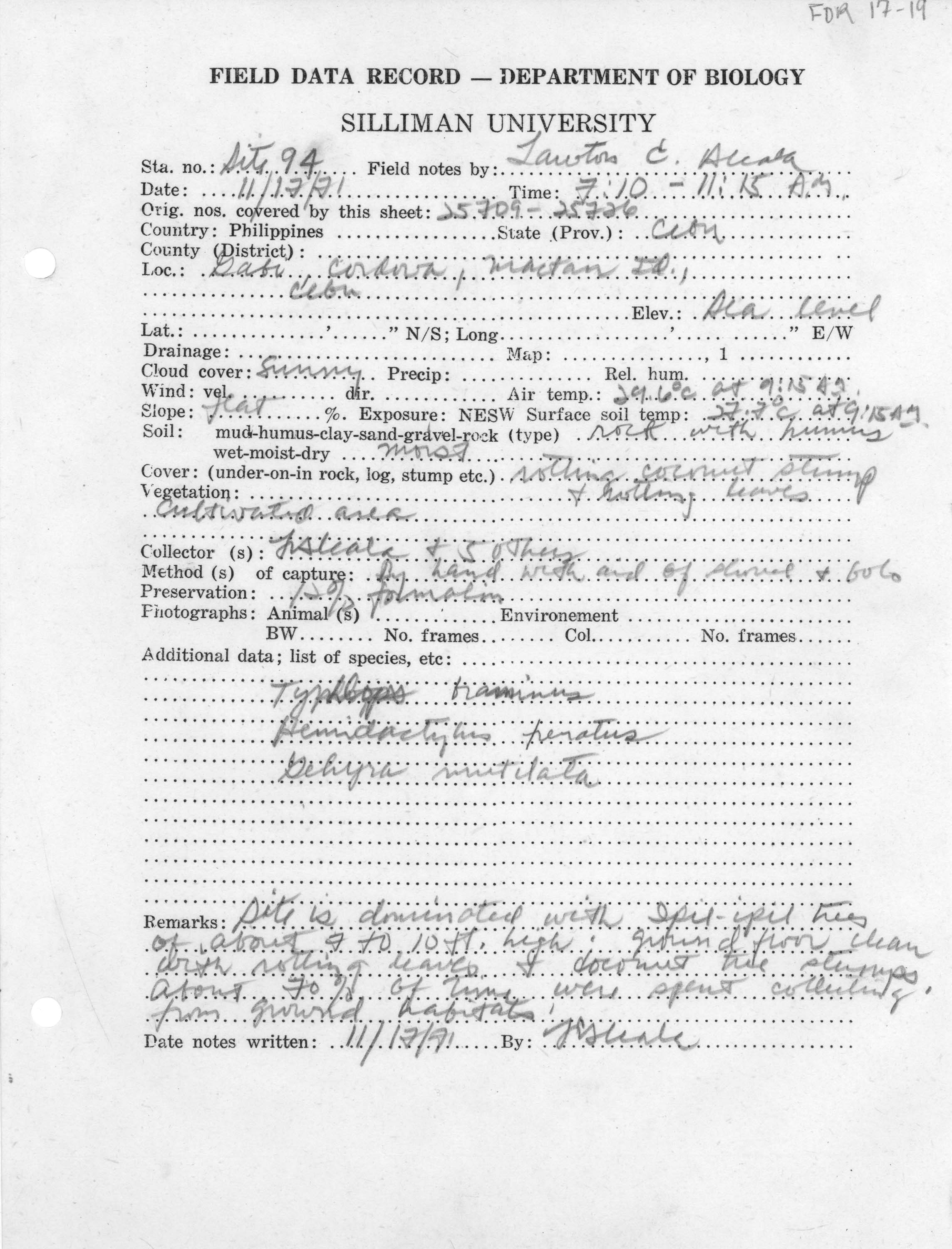 Ramphotyphlops image