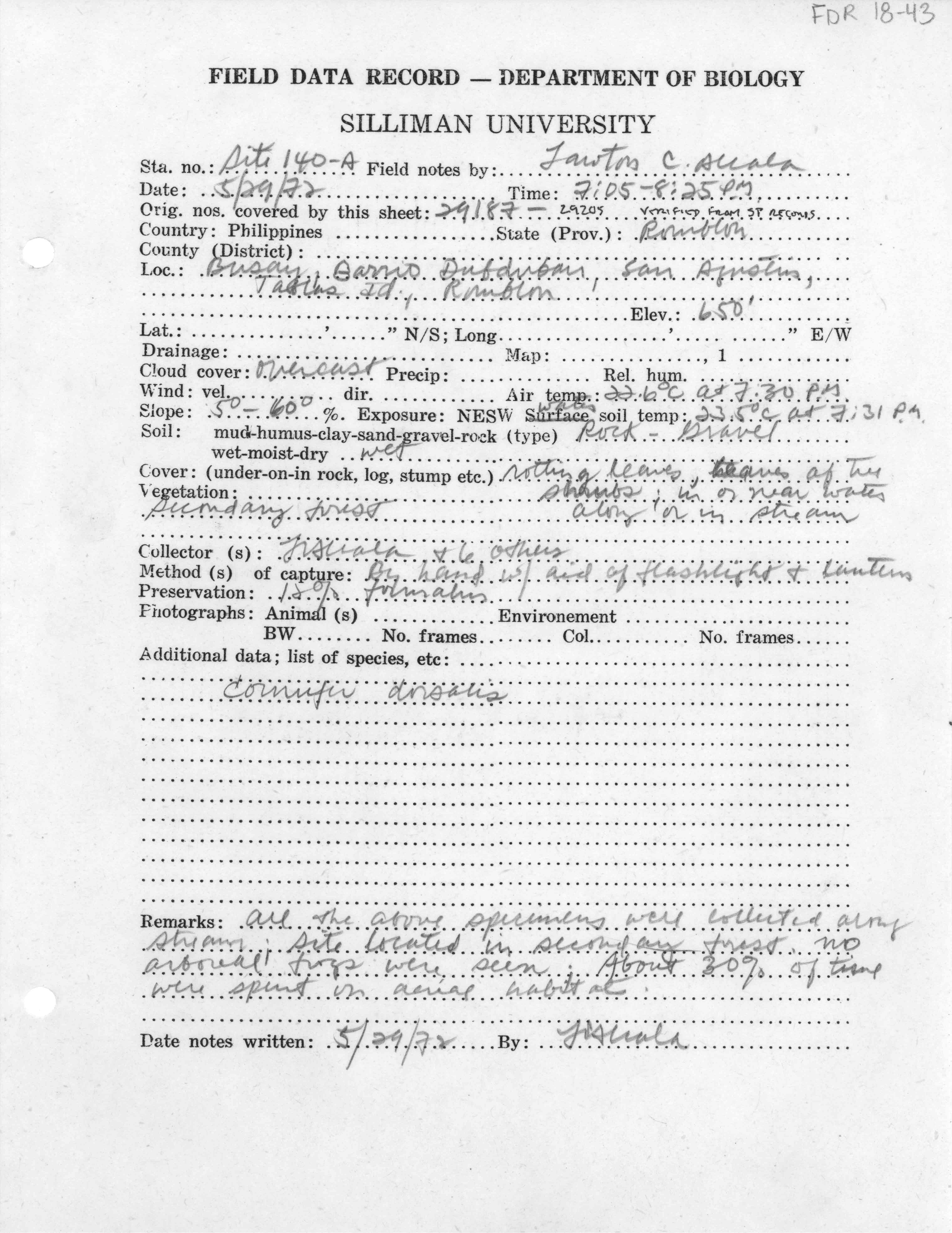 Platymantis levigatus image