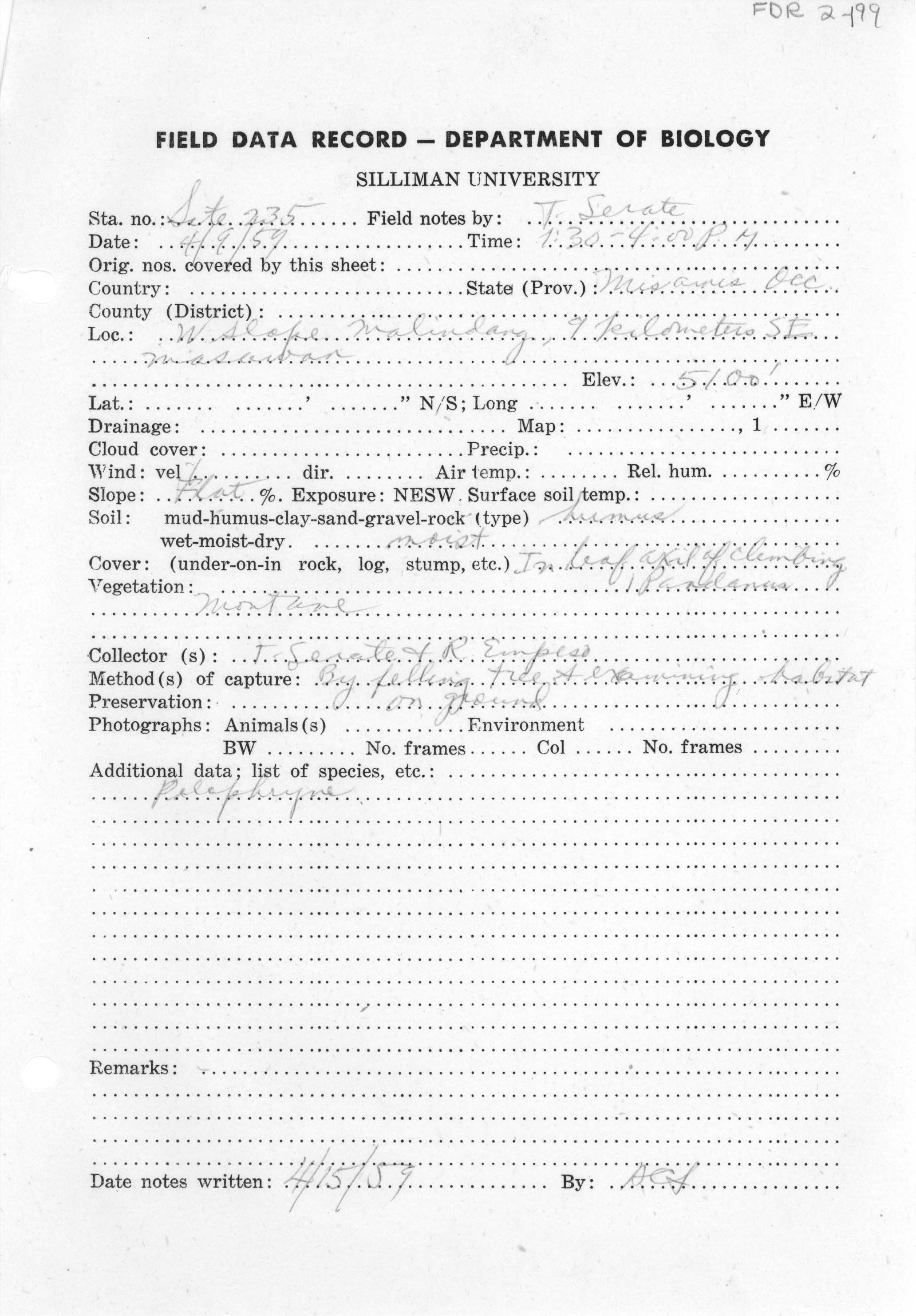 Pelophryne lighti image