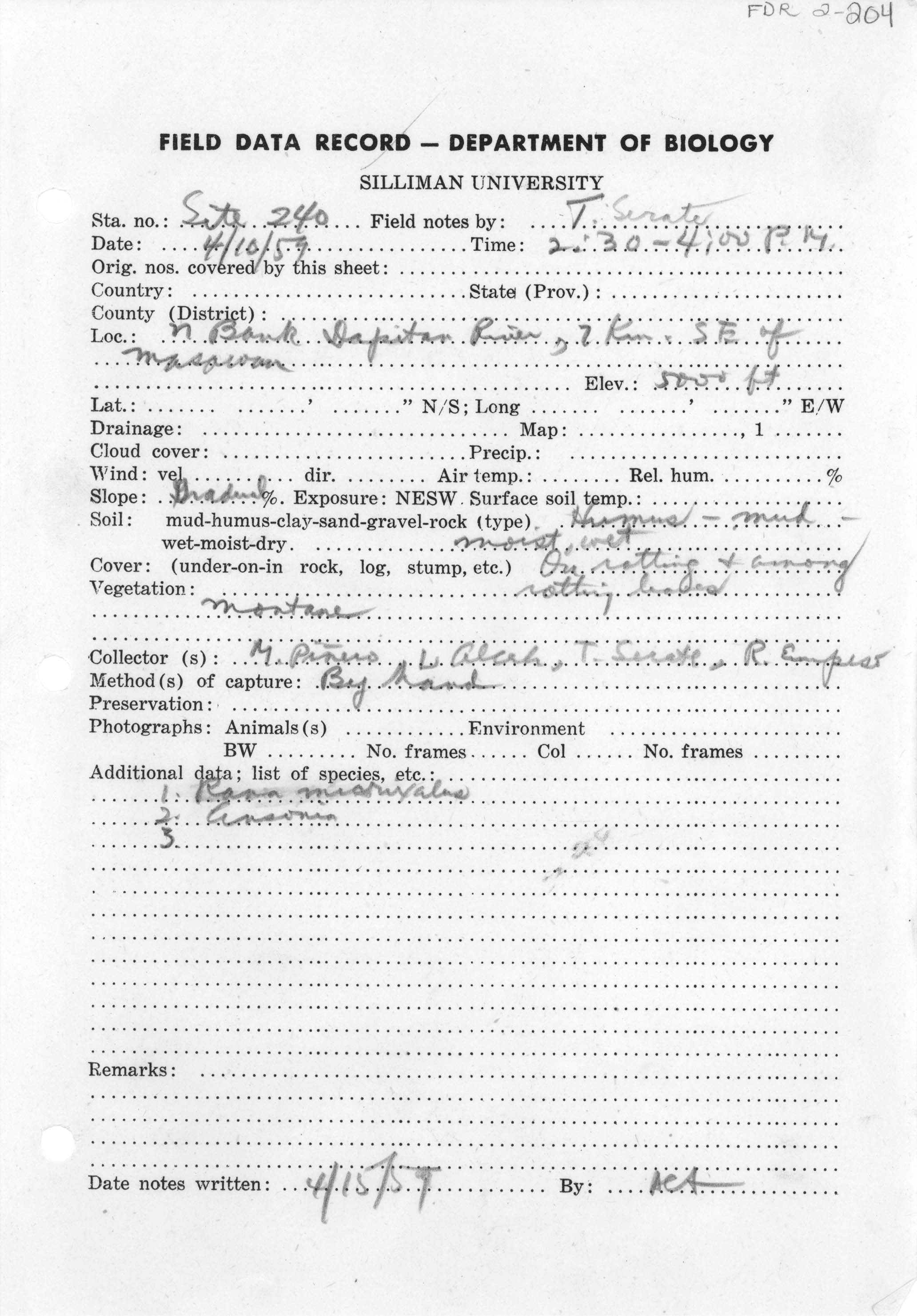 Pelophryne lighti image