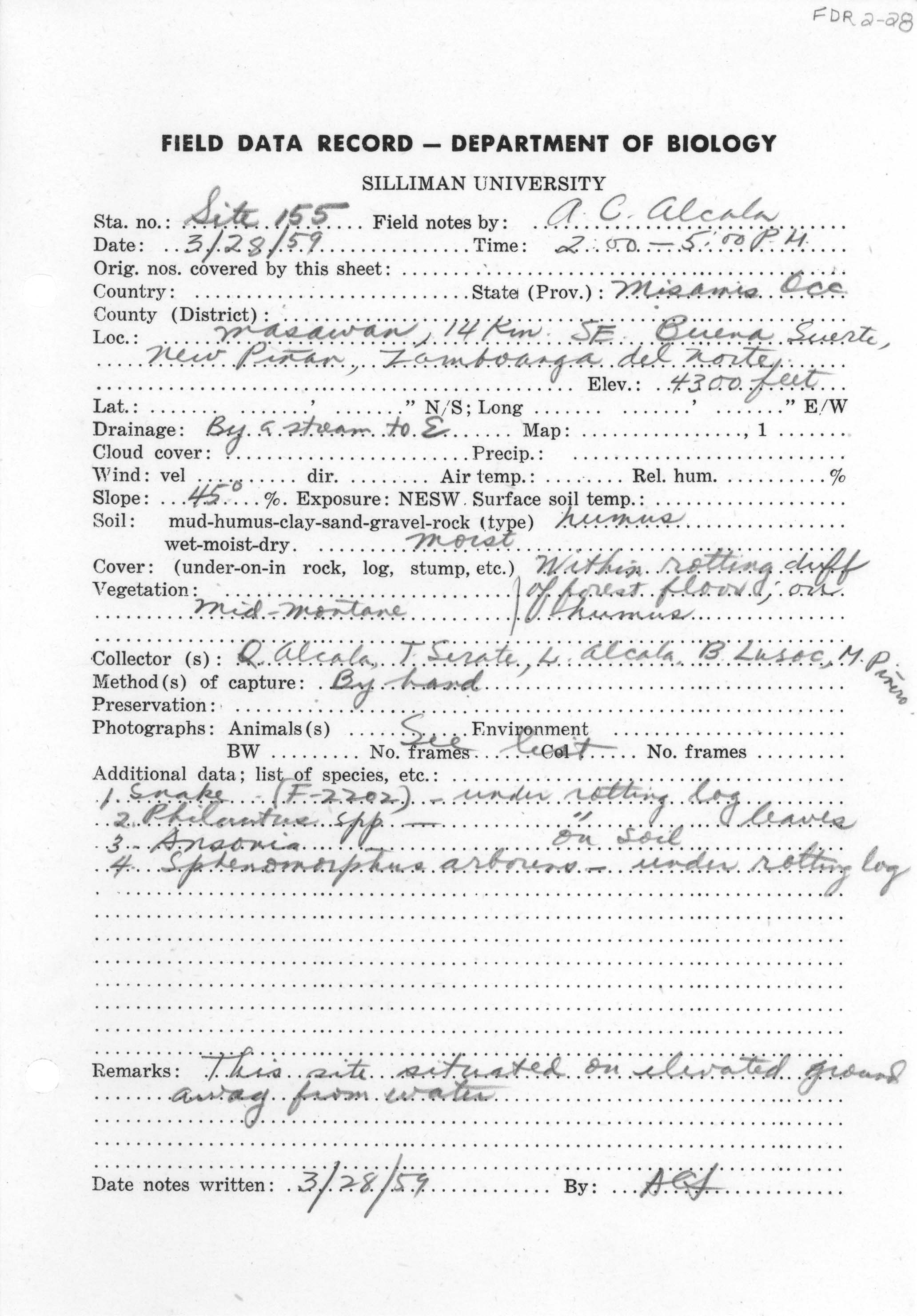 Calliophis intestinalis image