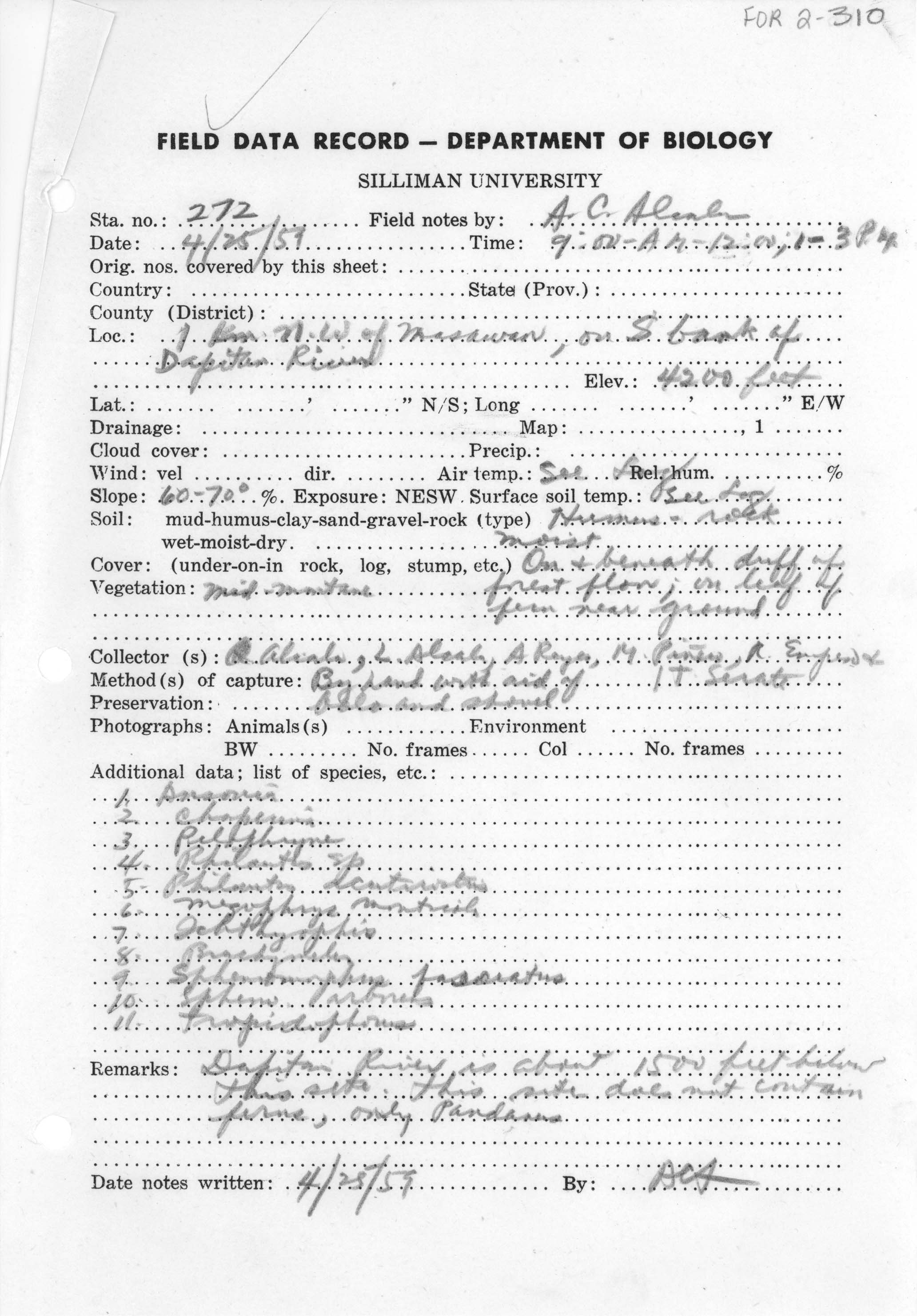 Ichthyophis monochrous image