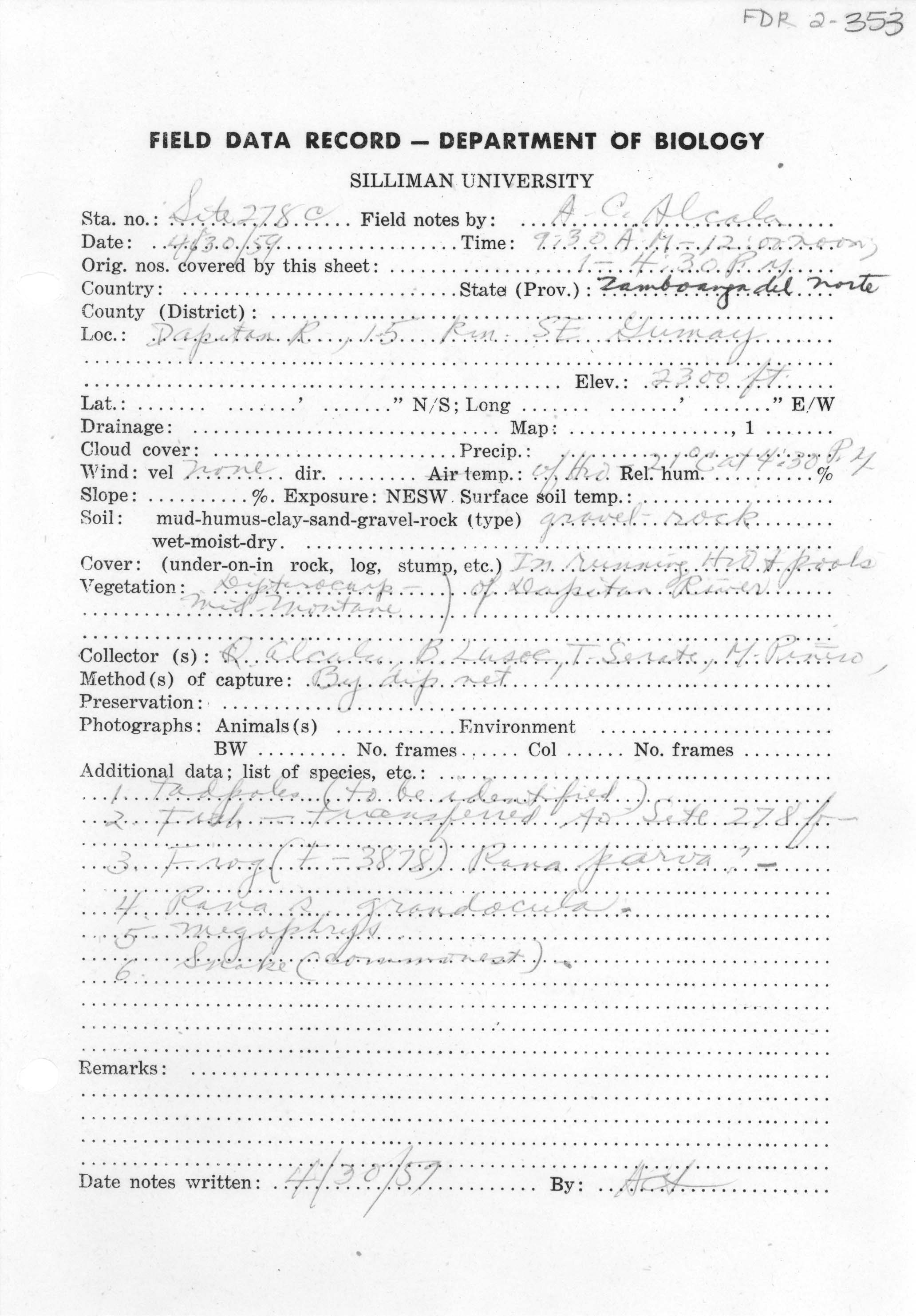 Megophrys montana image