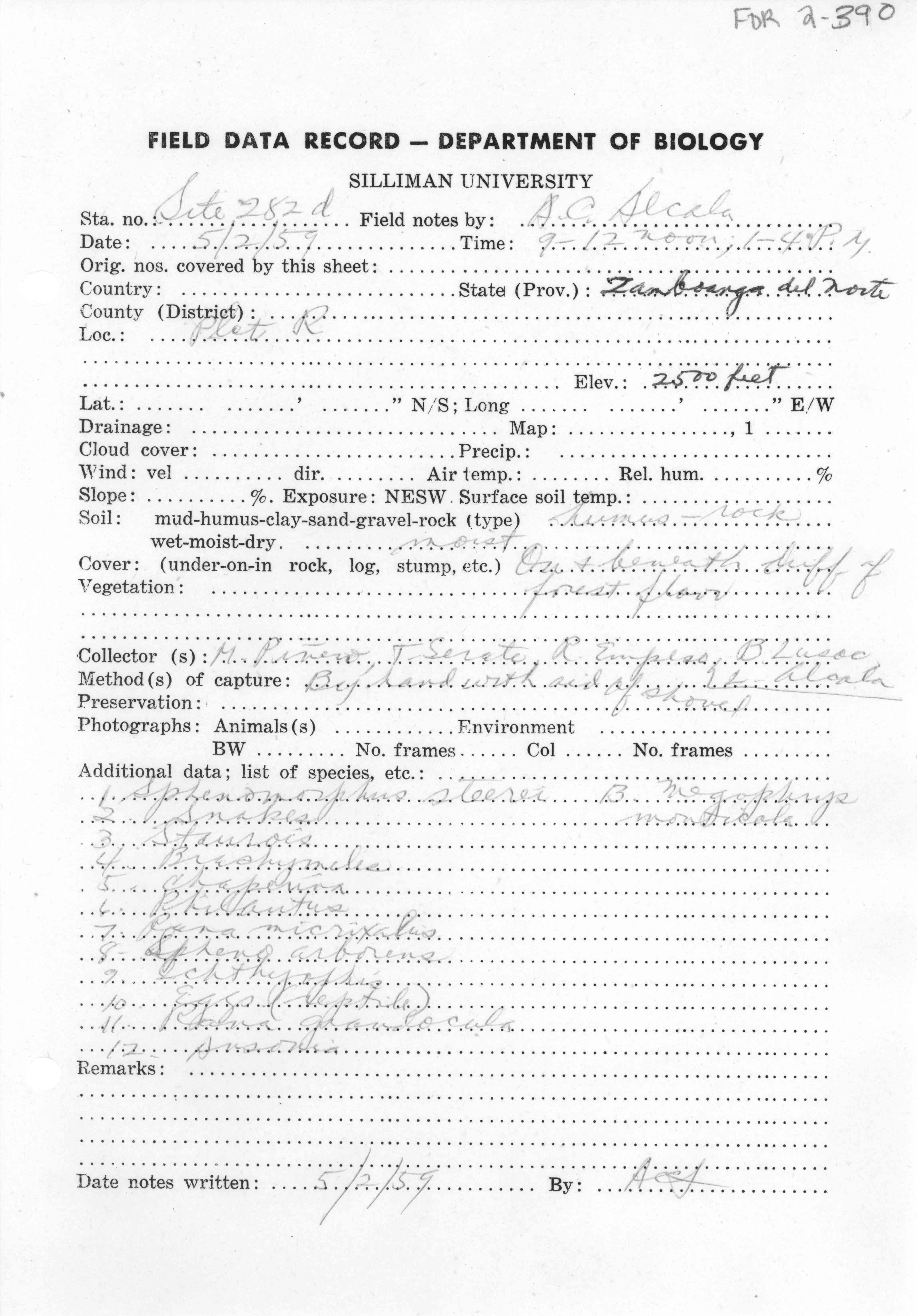 Limnonectes parvus image