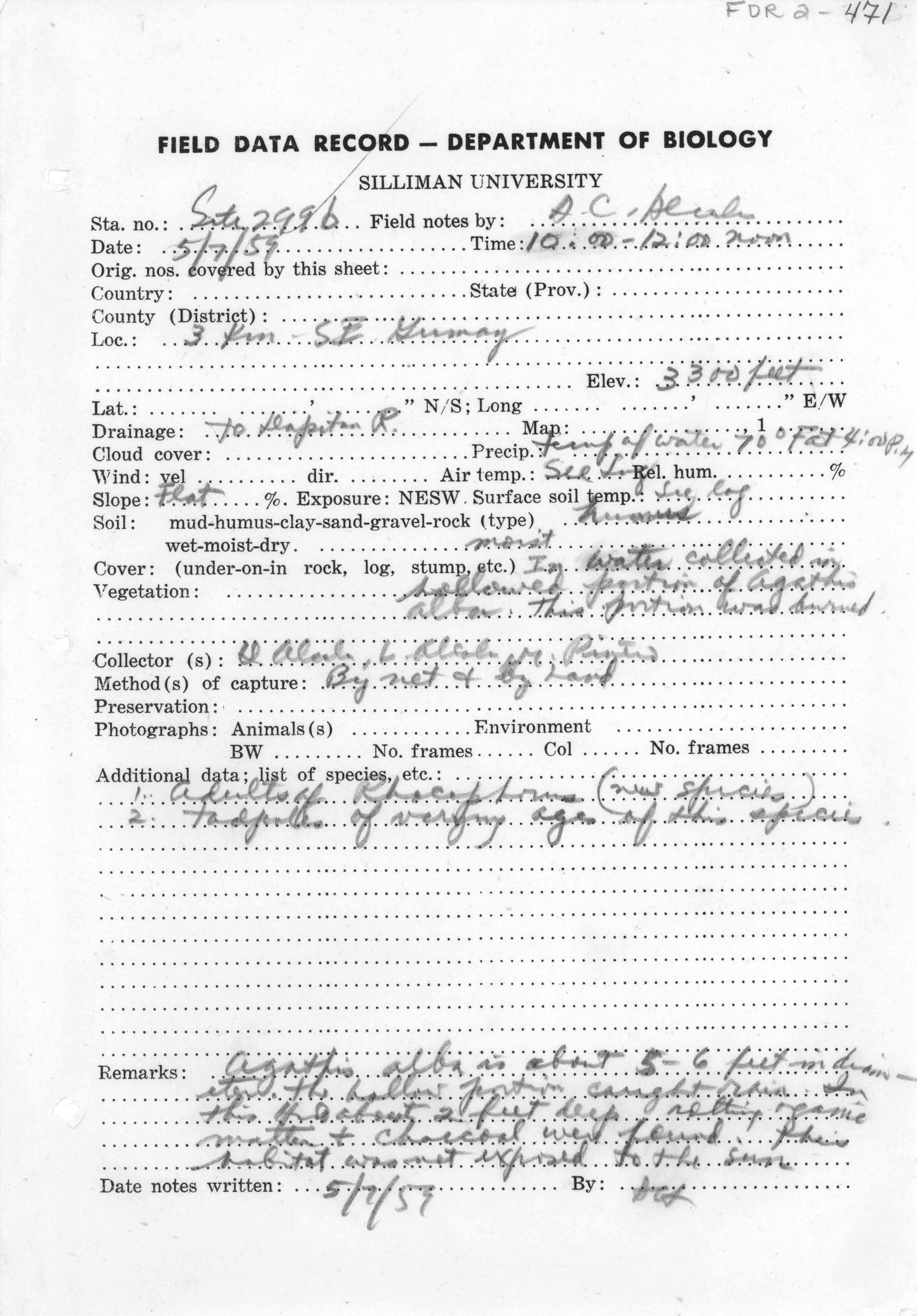 Nyctixalus spinosus image