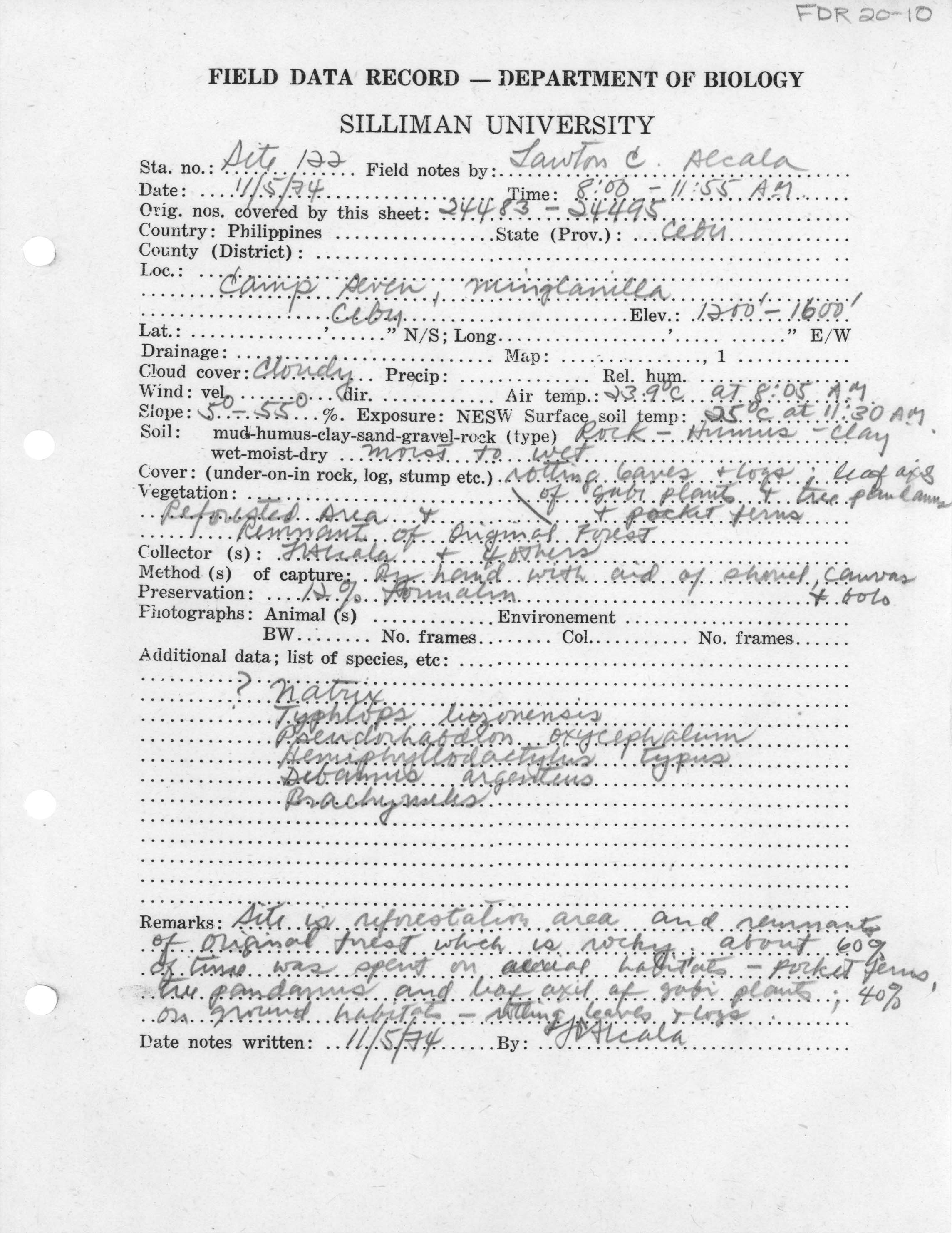 Hemiphyllodactylus insularis image