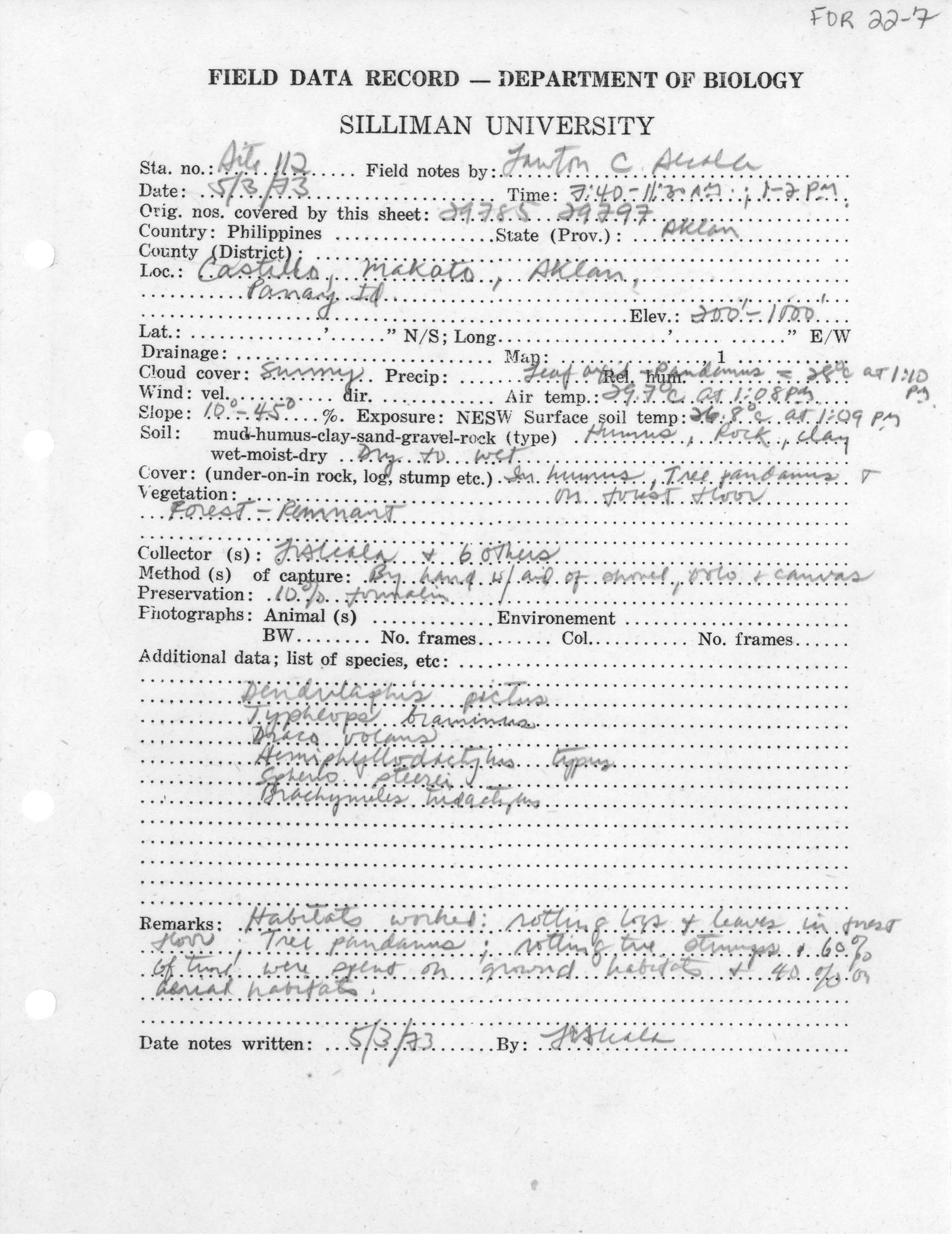 Hemiphyllodactylus typus image