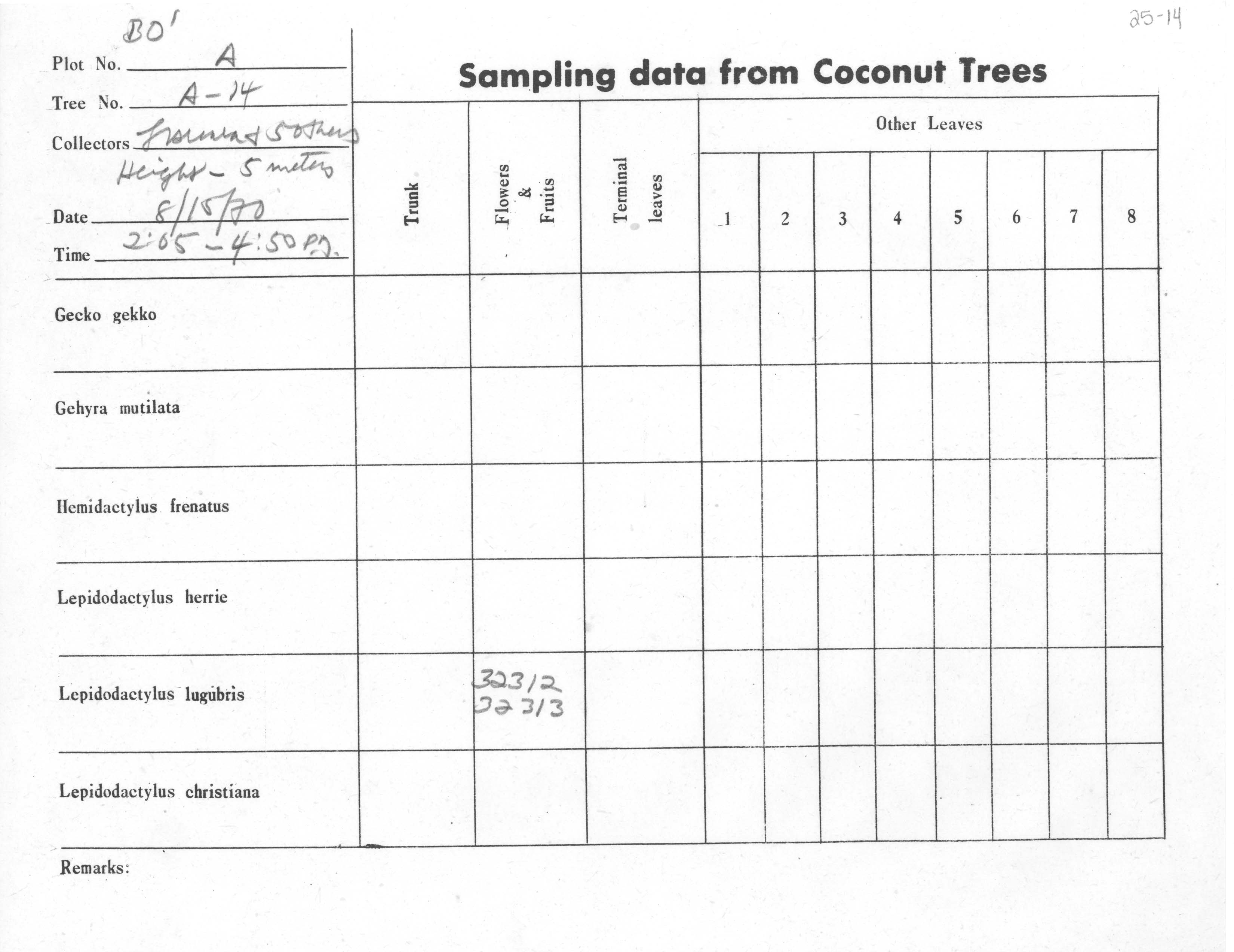 Hemidactylus platyurus image