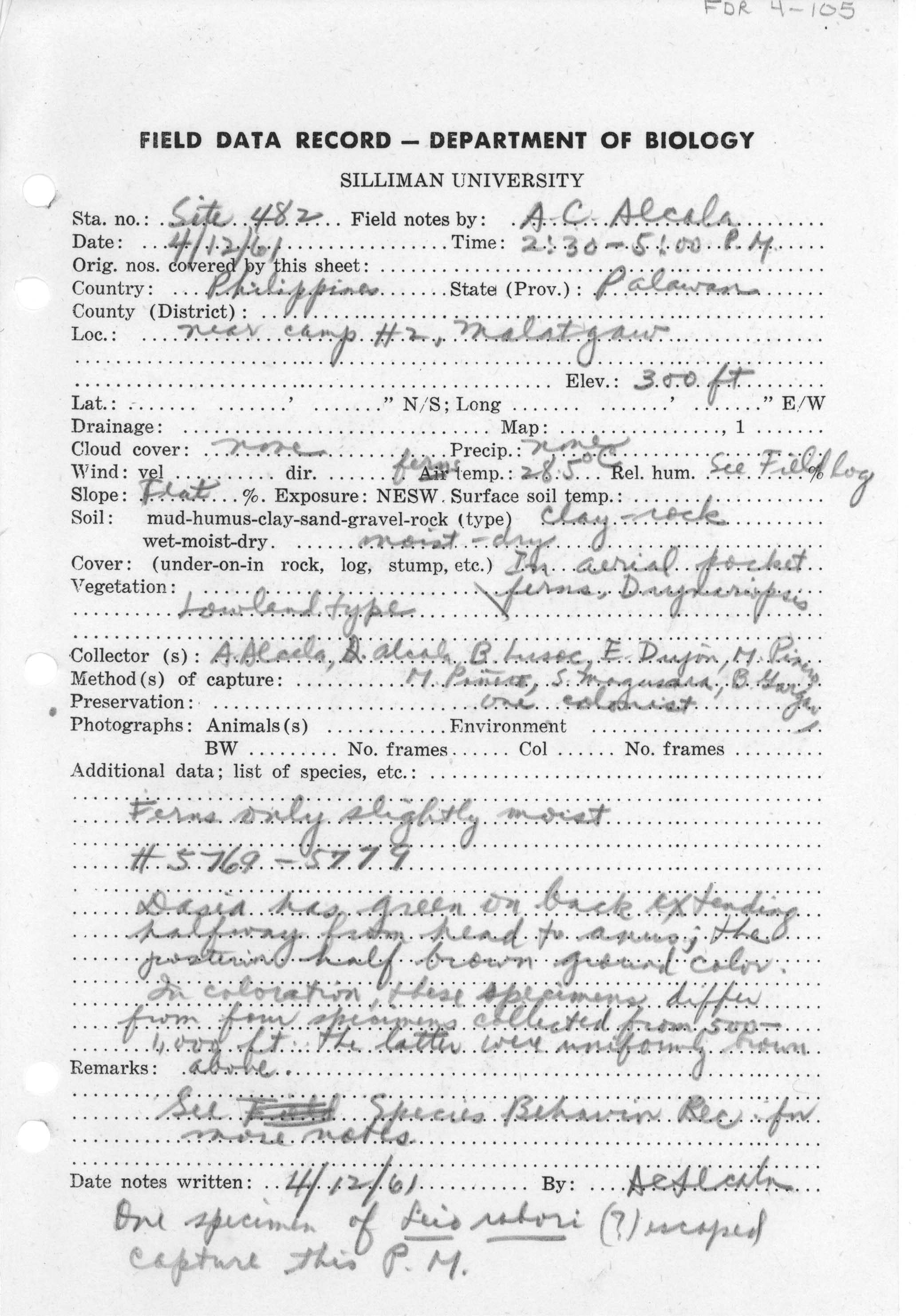 Luperosaurus palawanensis image