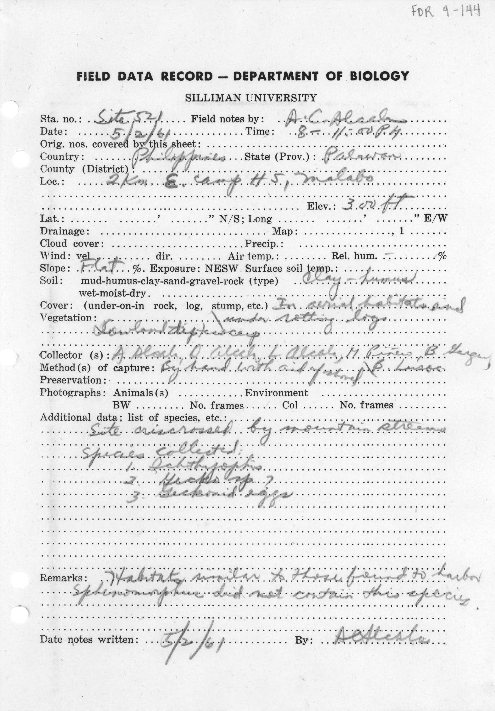 Gekko monarchus image