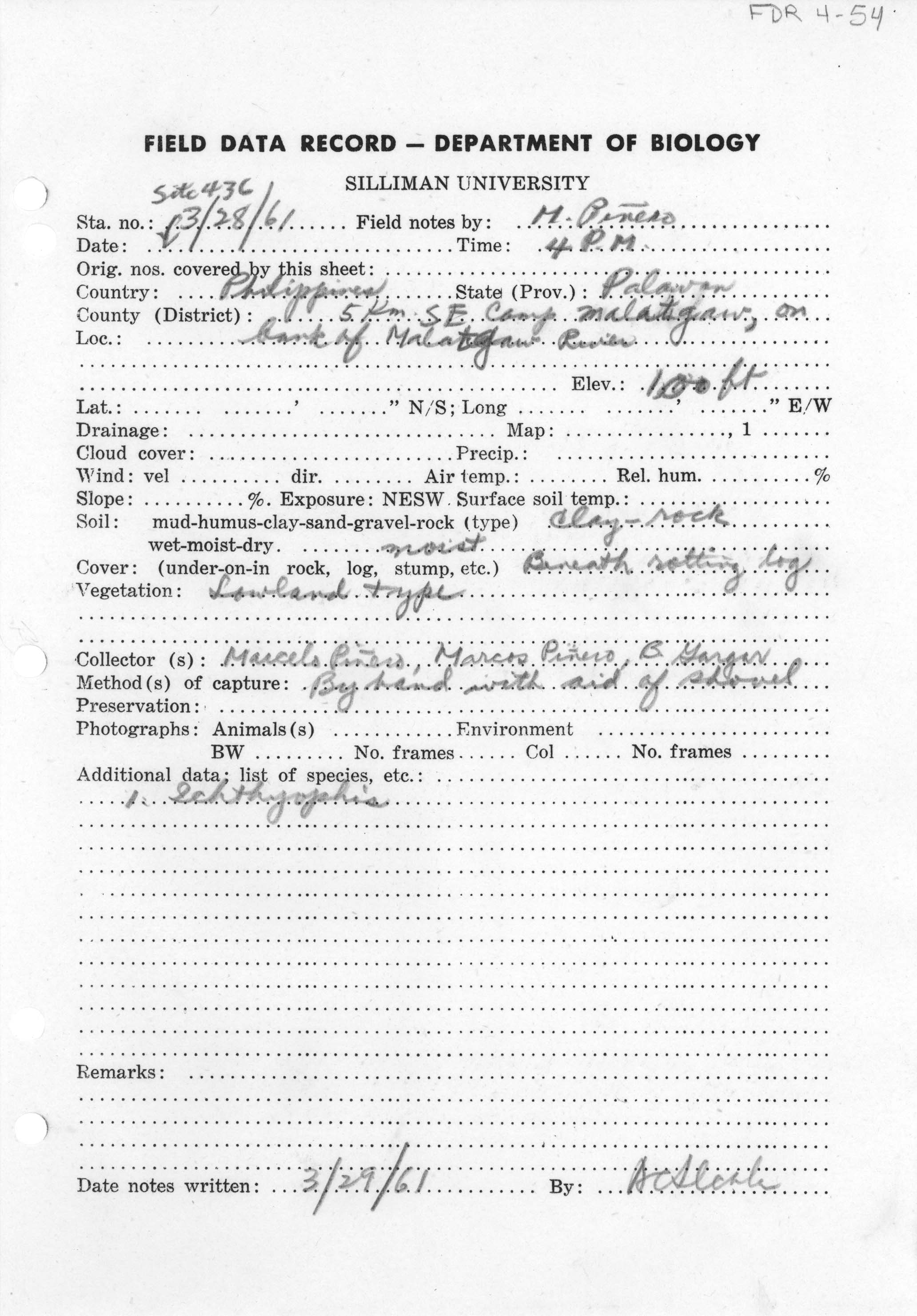 Caudacaecilia weberi image