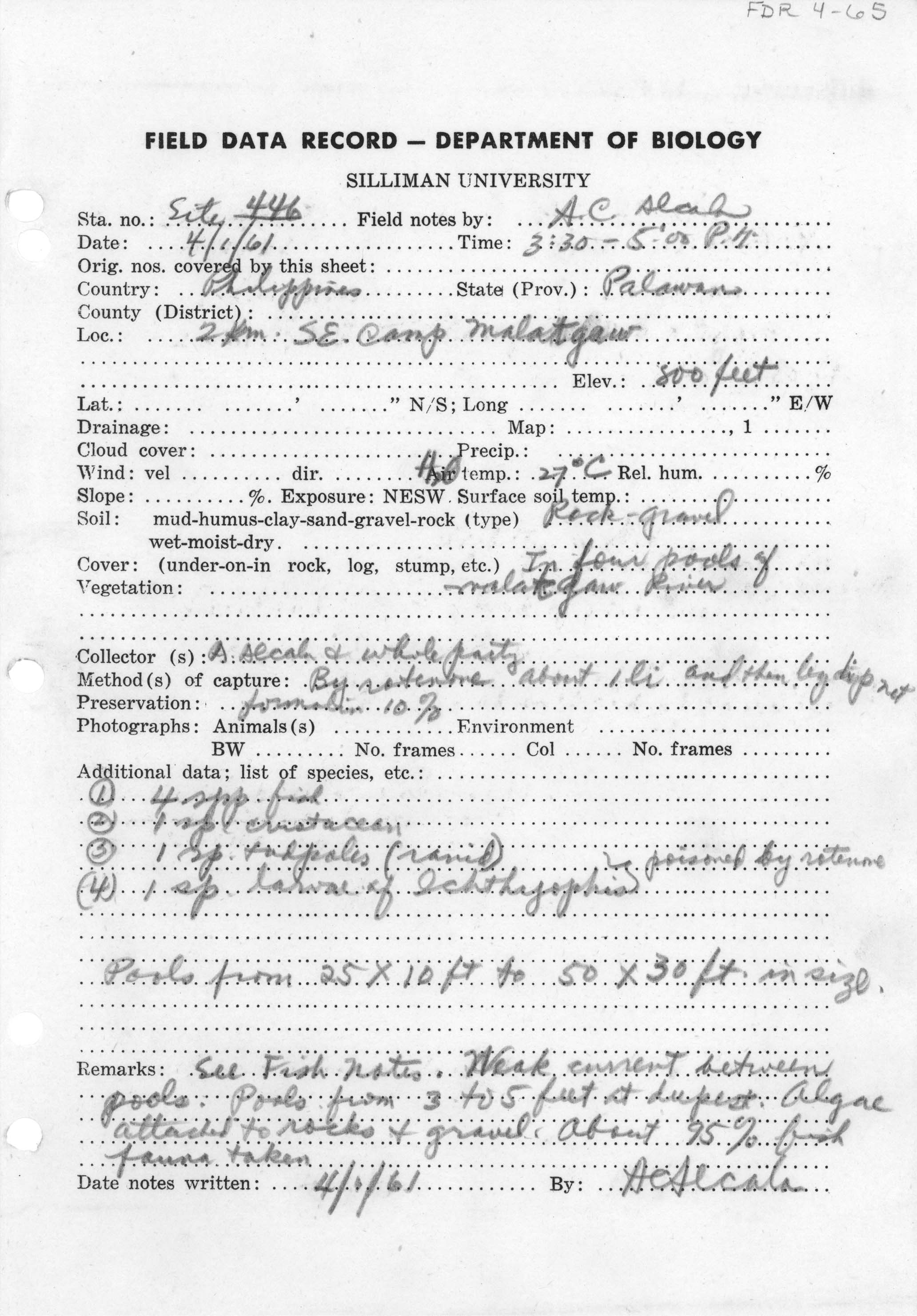 Ichthyophiidae image