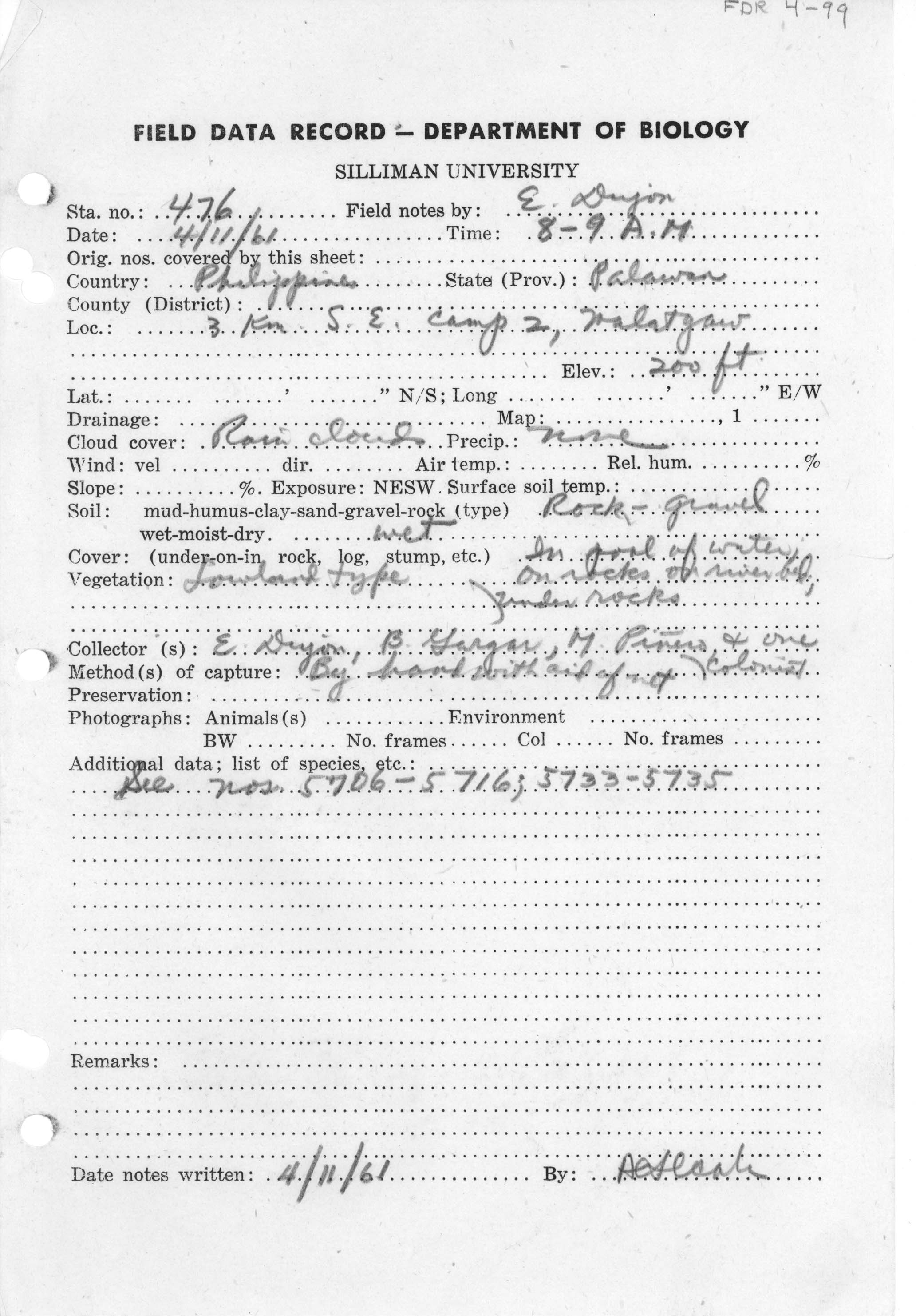 Leptobrachium hasseltii image