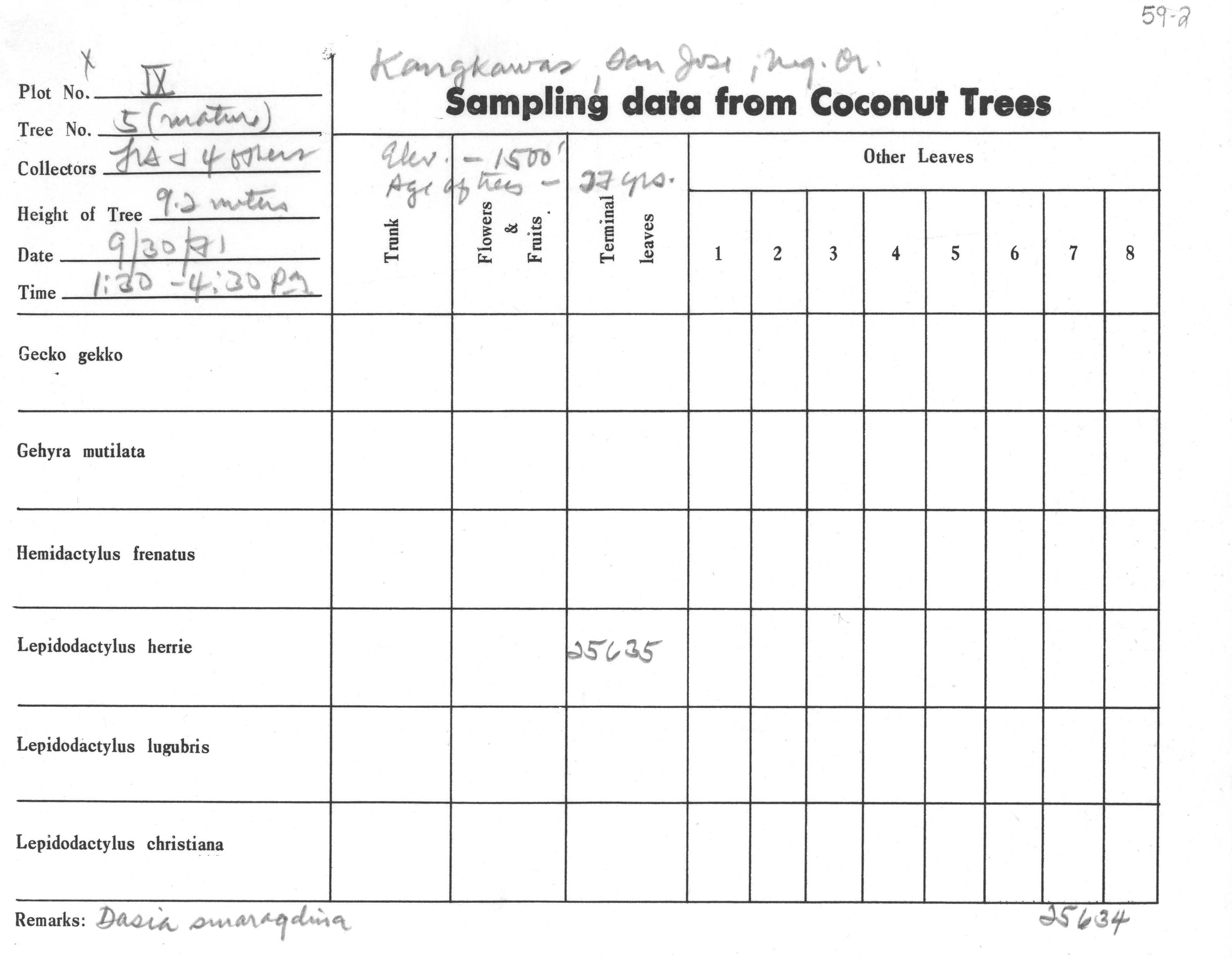 Lepidodactylus herrei image