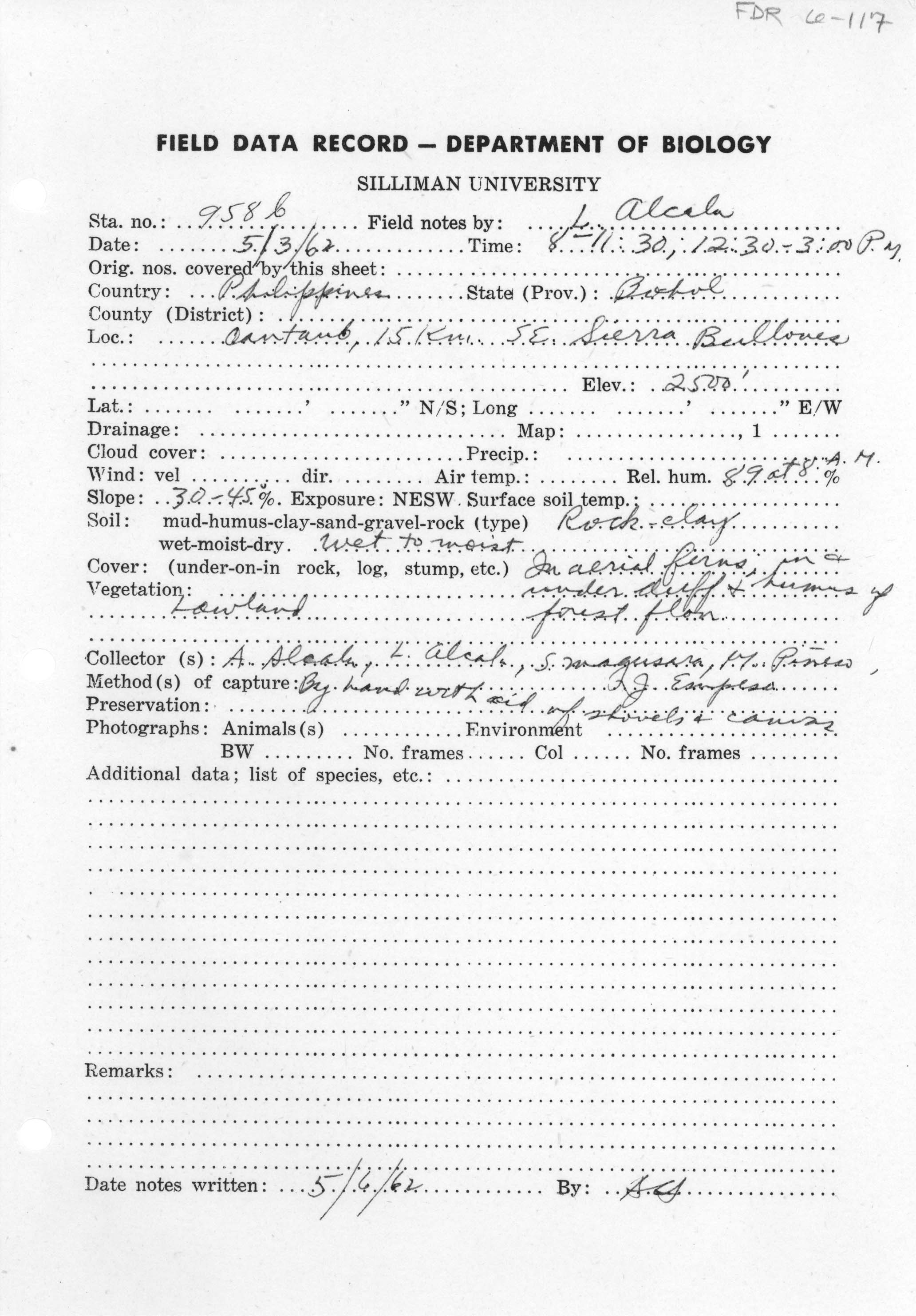 Ramphotyphlops cumingii image