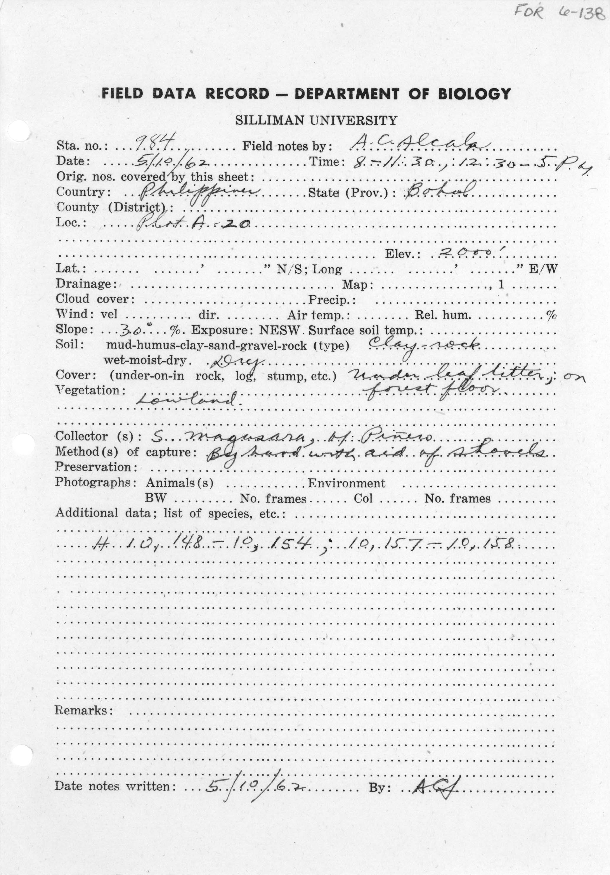 Pseudogekko brevipes image