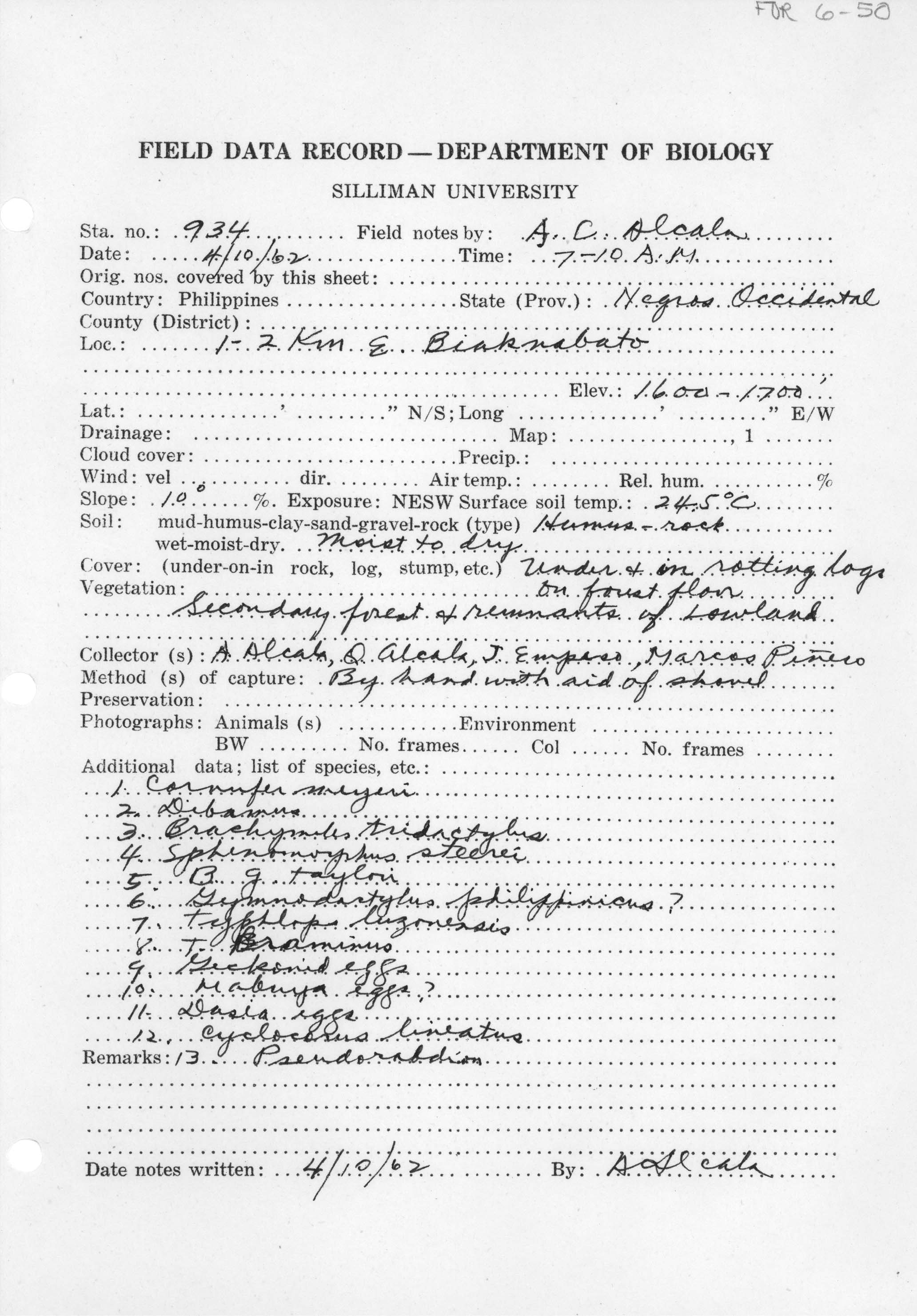 Typhlops hedraeus image