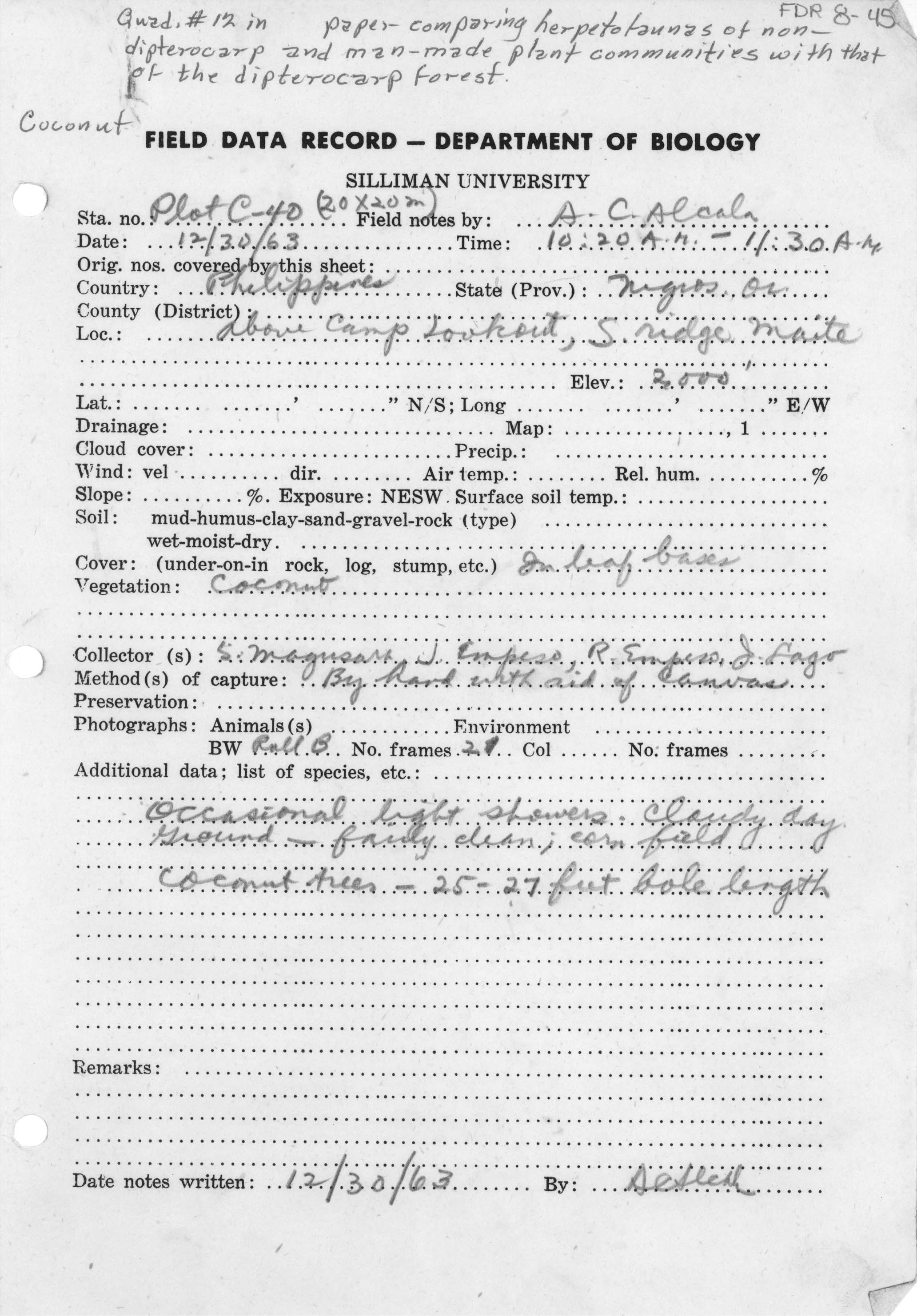 Lepidodactylus christiani image