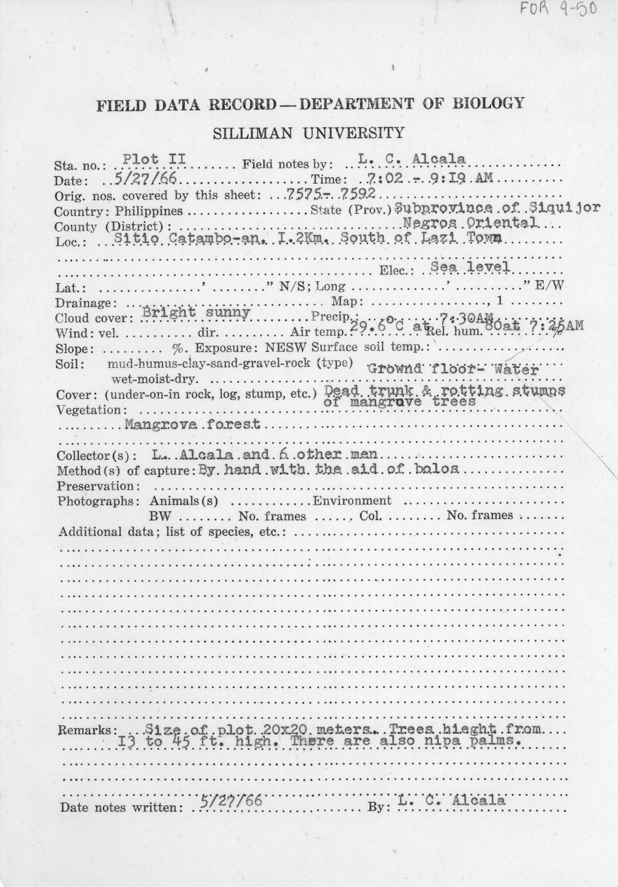 Hemiphyllodactylus typus image