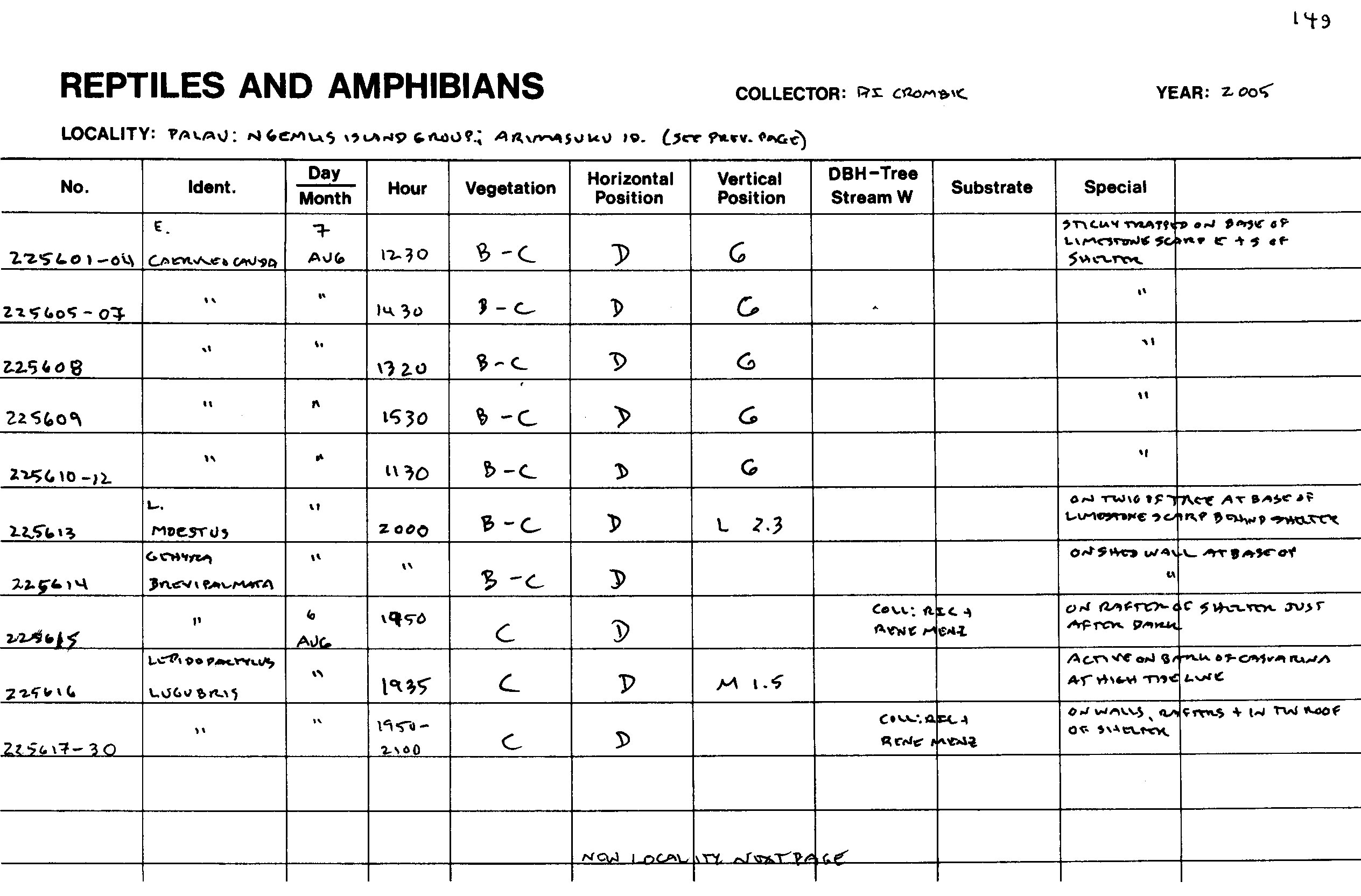 Emoia caeruleocauda image