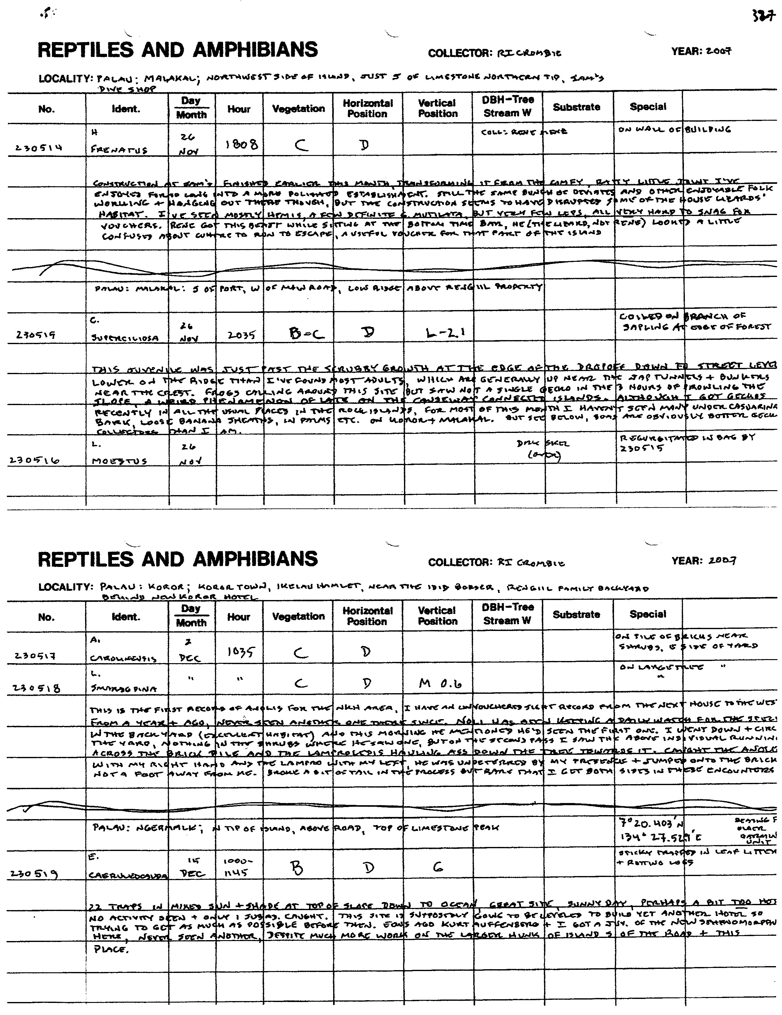 Lamprolepis smaragdina image