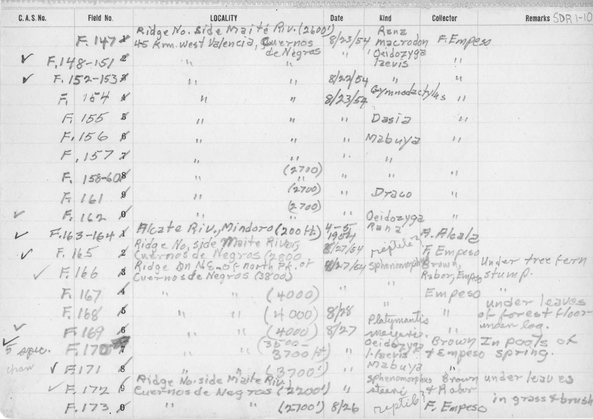 Cyrtodactylus philippinicus image