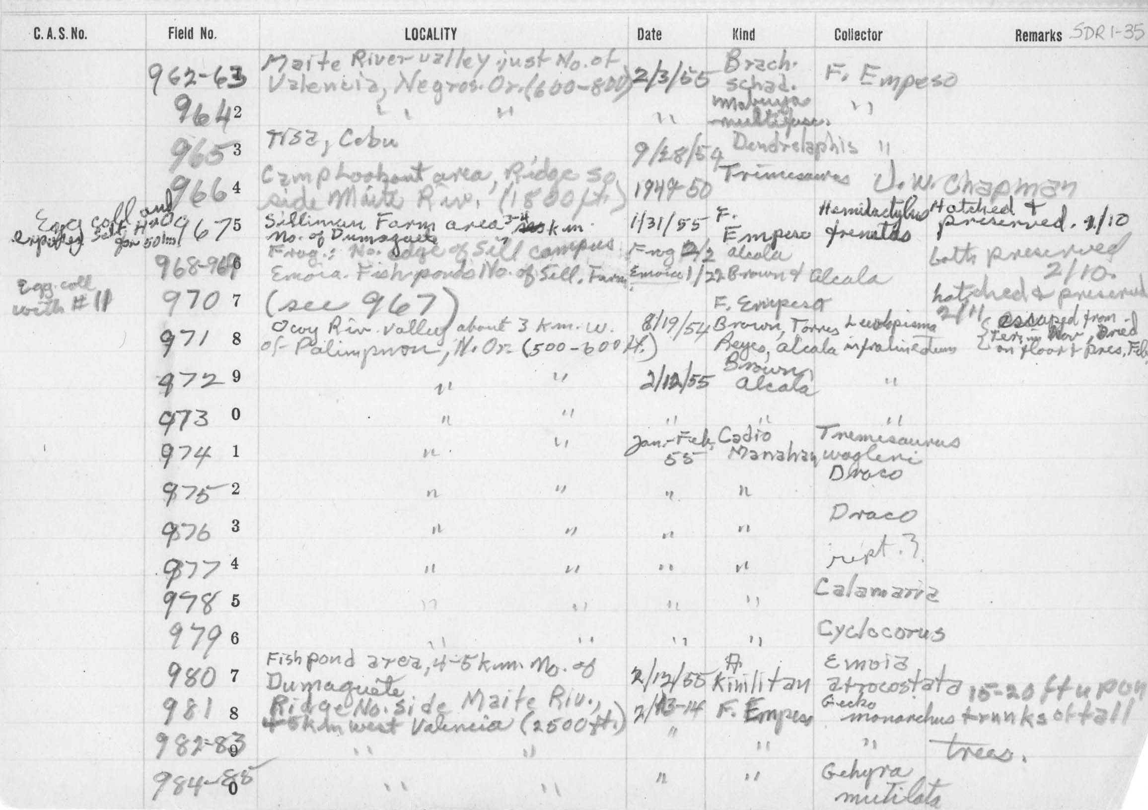 Tropidolaemus wagleri image