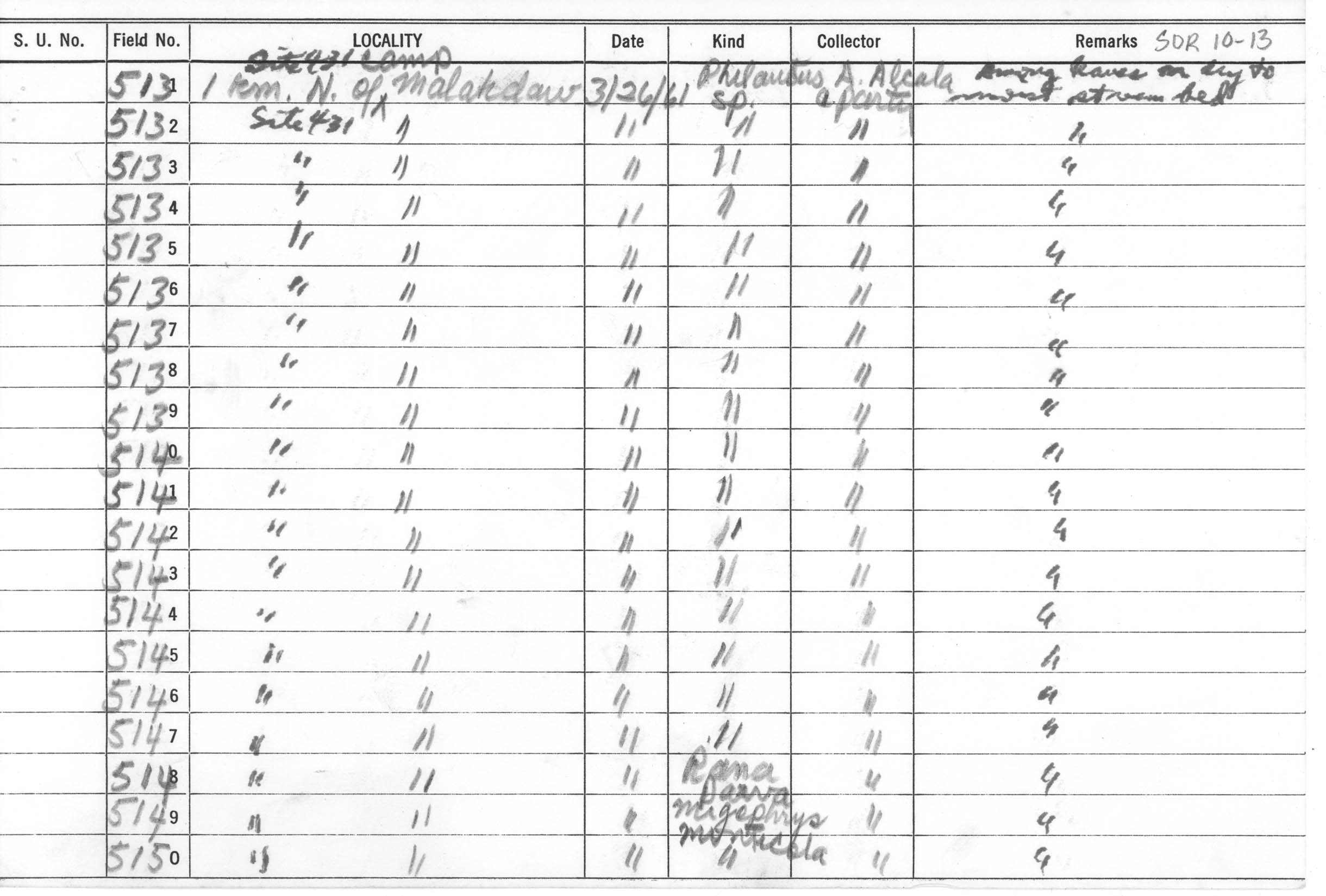 Megophrys ligayae image