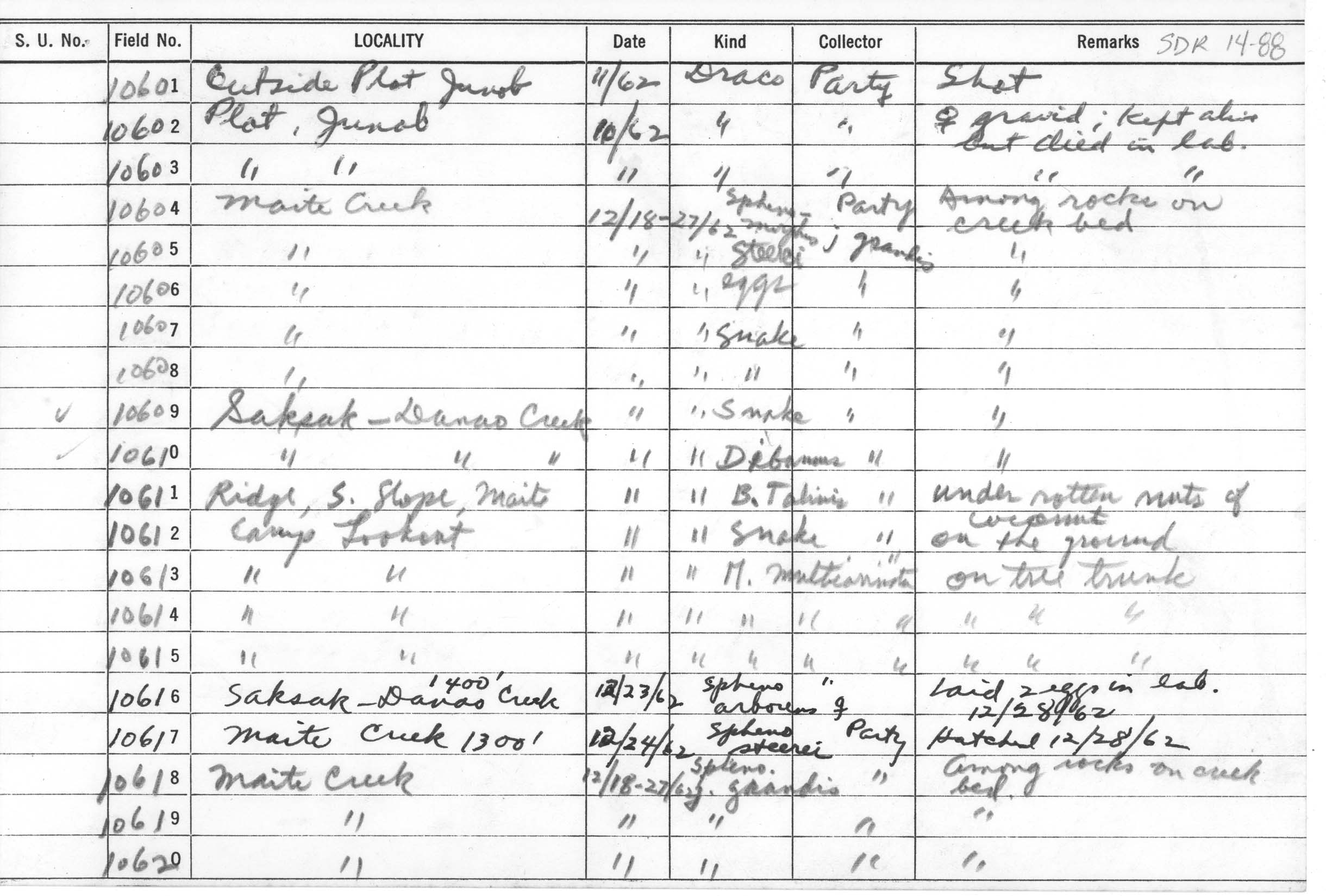 Tropidonophis dendrophiops image