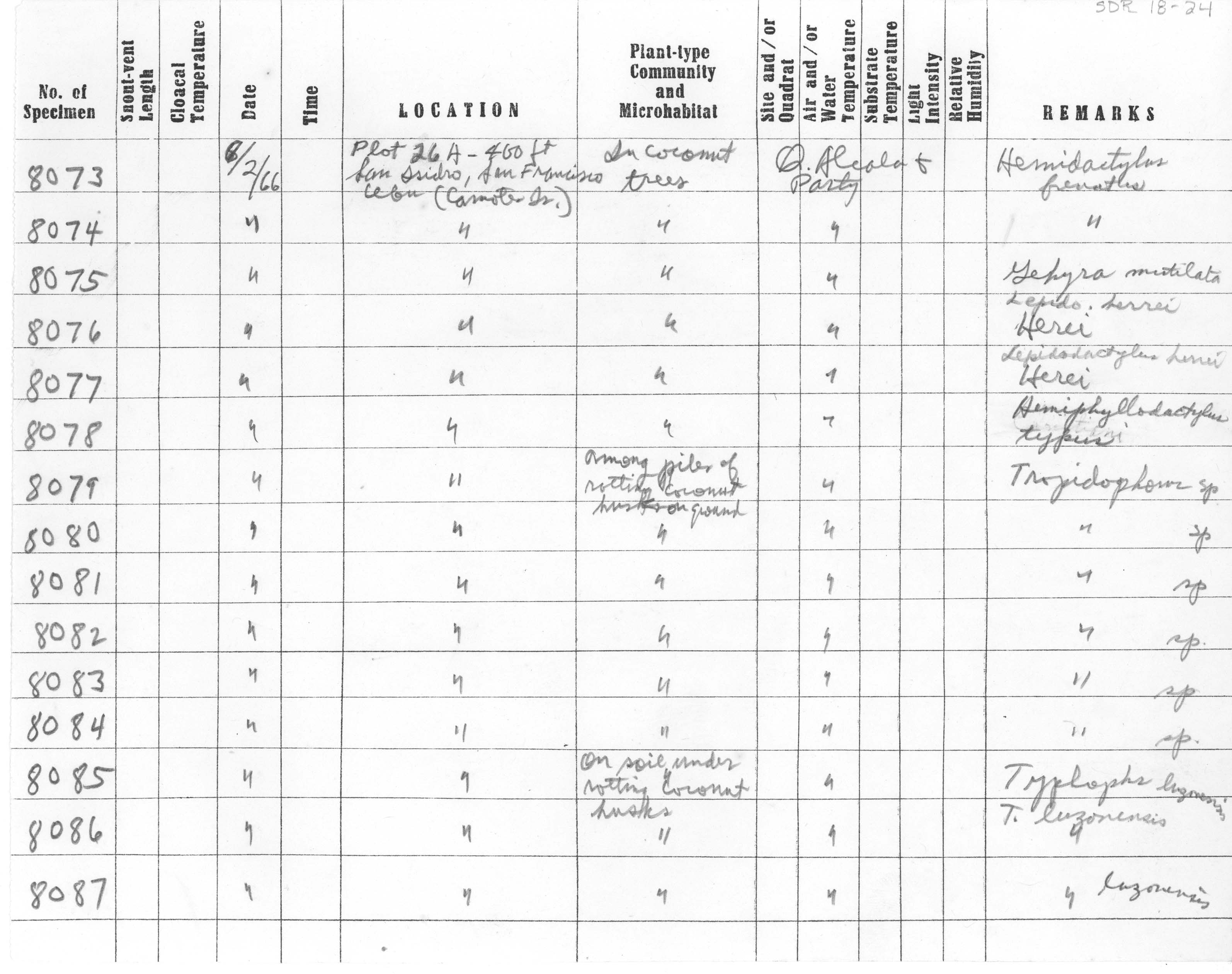 Lepidodactylus herrei image