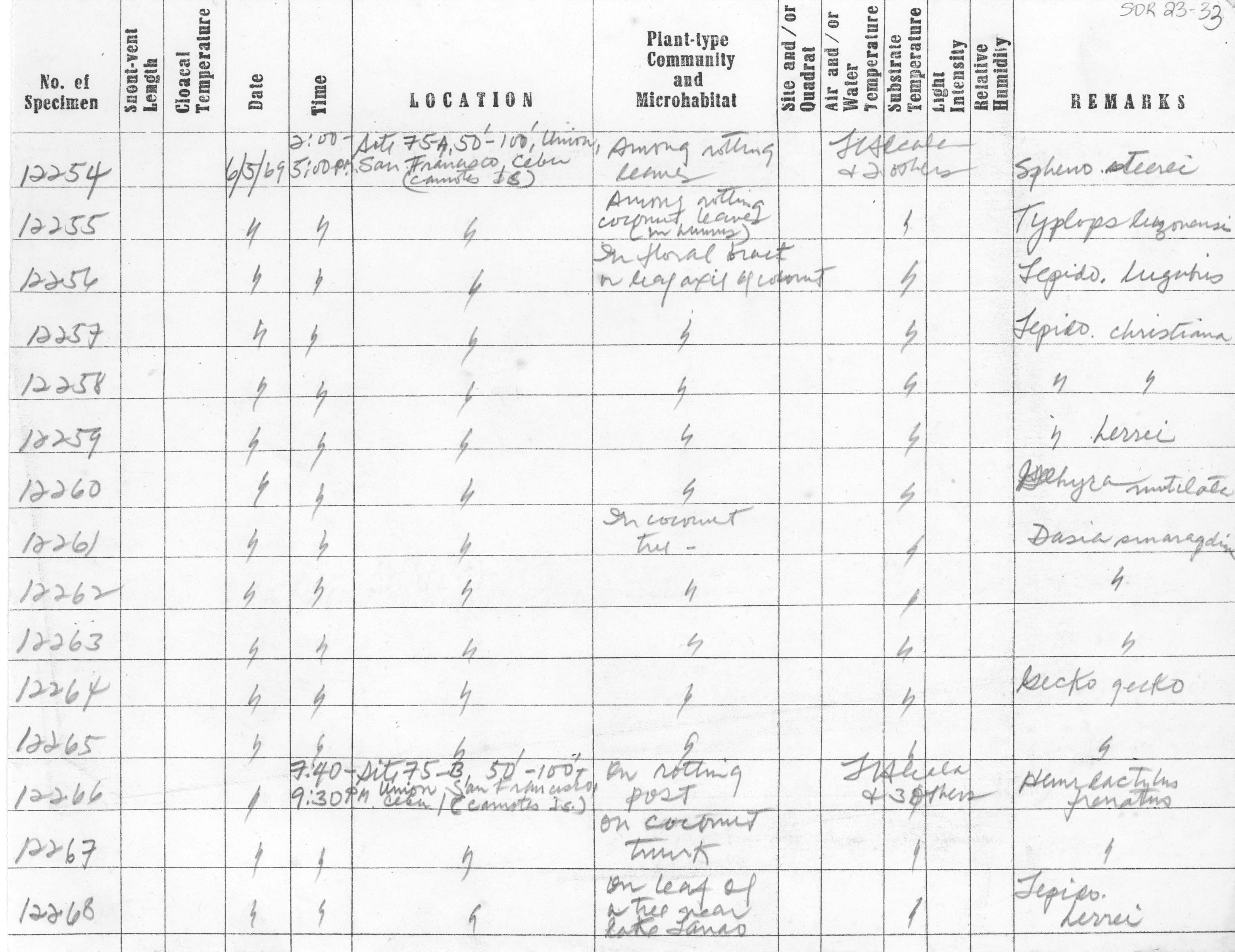 Typhlops ruber image