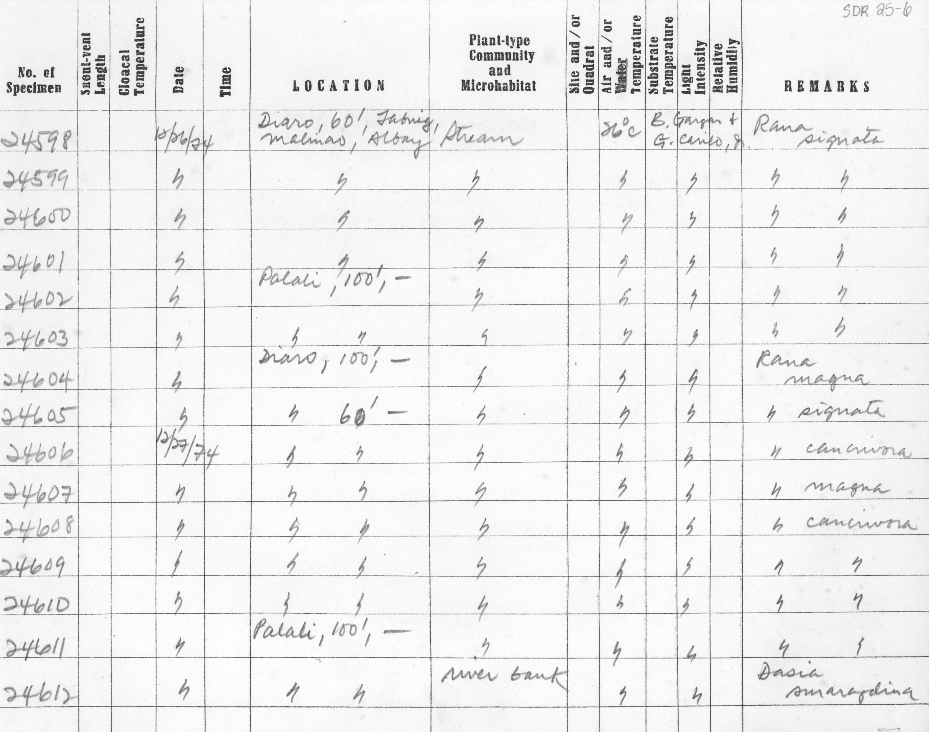 Limnonectes woodworthi image